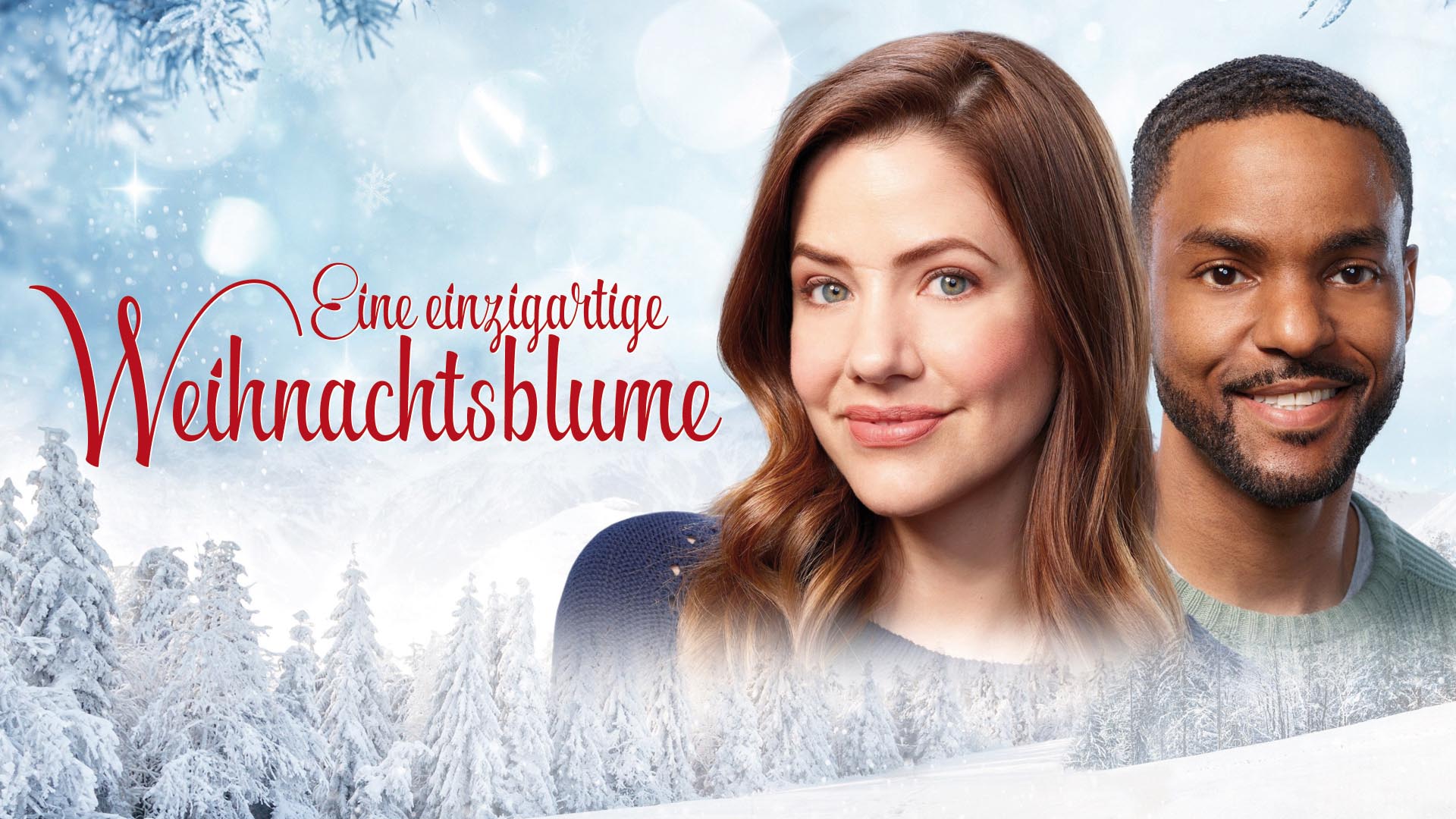 Eine einzigartige Weihnachtsblume