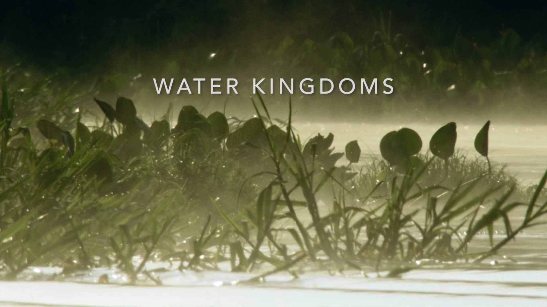 Destination Wild: Argentina