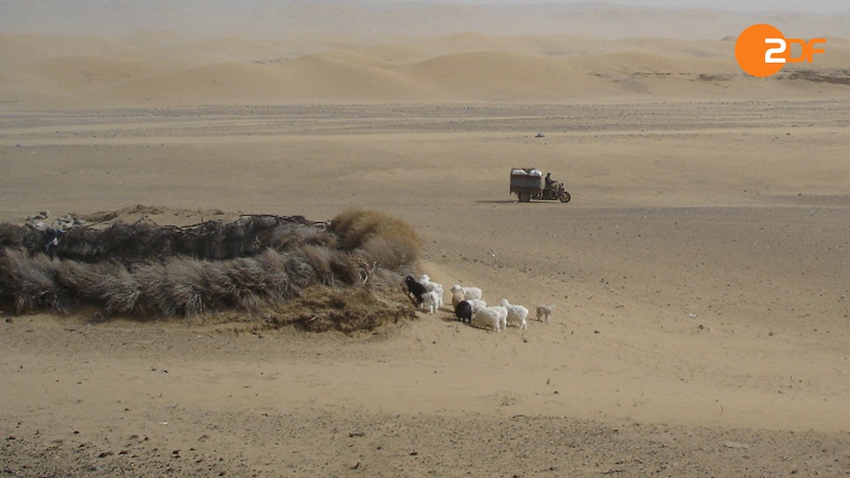 Rückkehr der Plagen