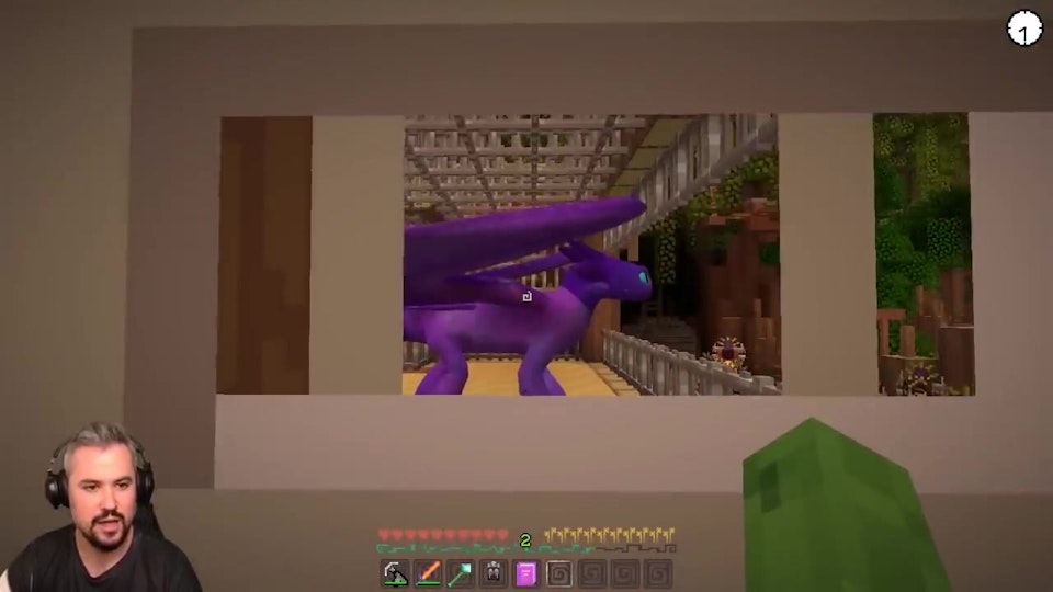 Tiny Turtle Minecraft Dragons