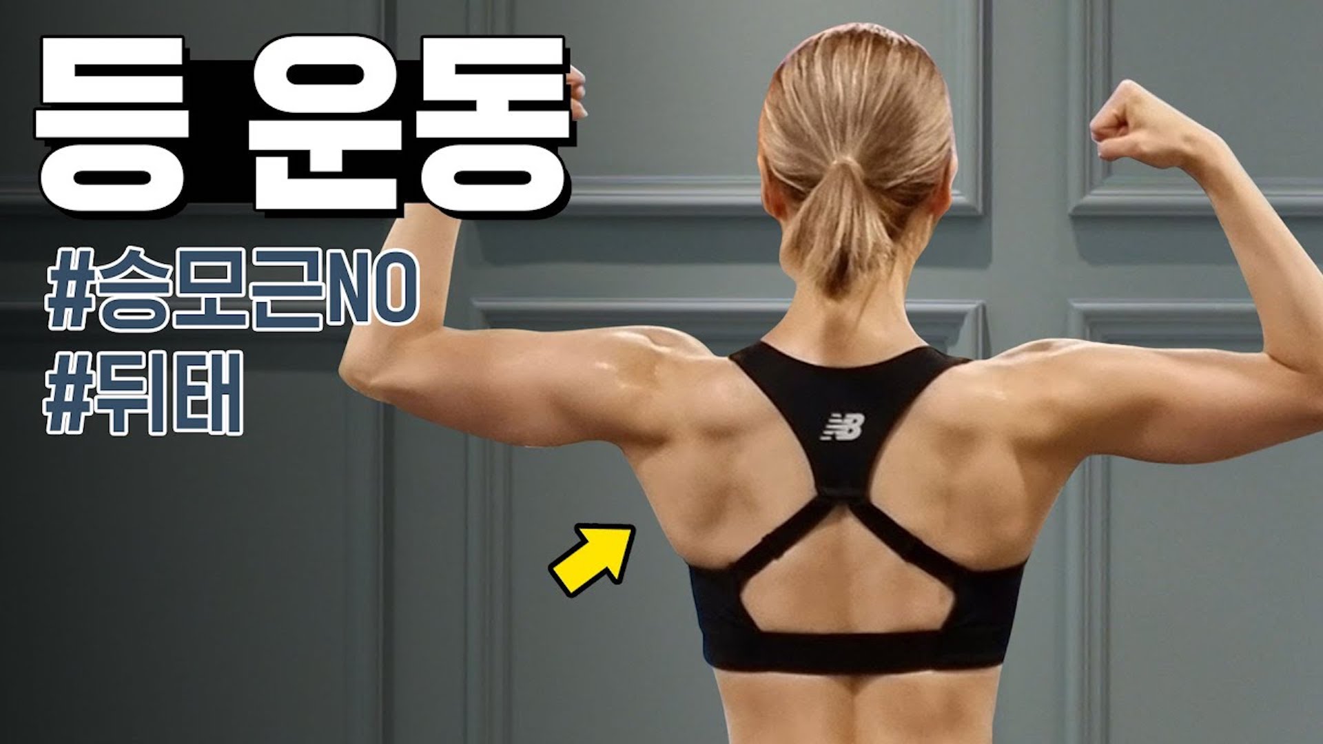 요일별운동 화요일 등/허리 군살 모조리 파.괴.한.다 등운동 루틴