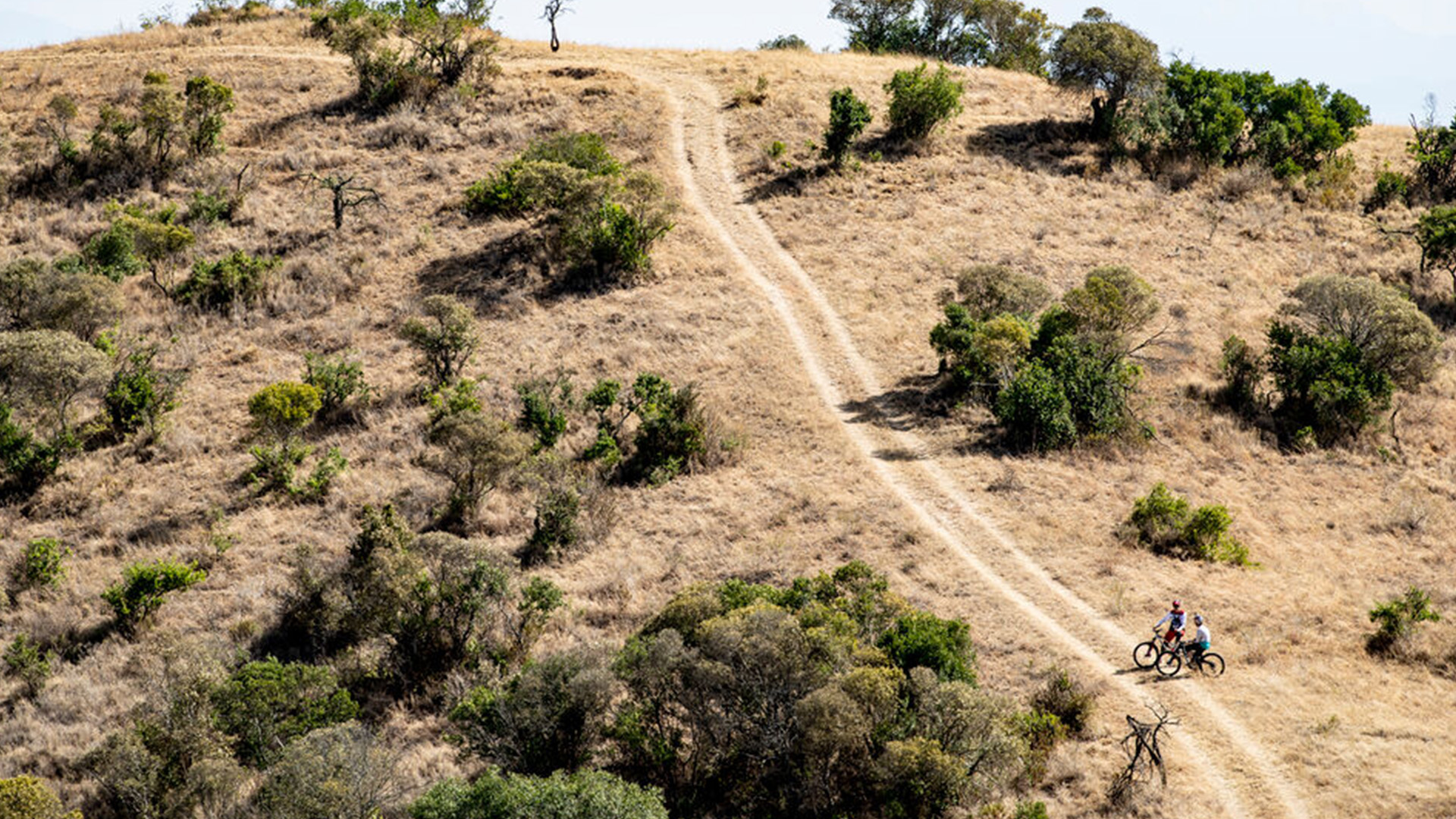 Rob Warner's Wild Rides