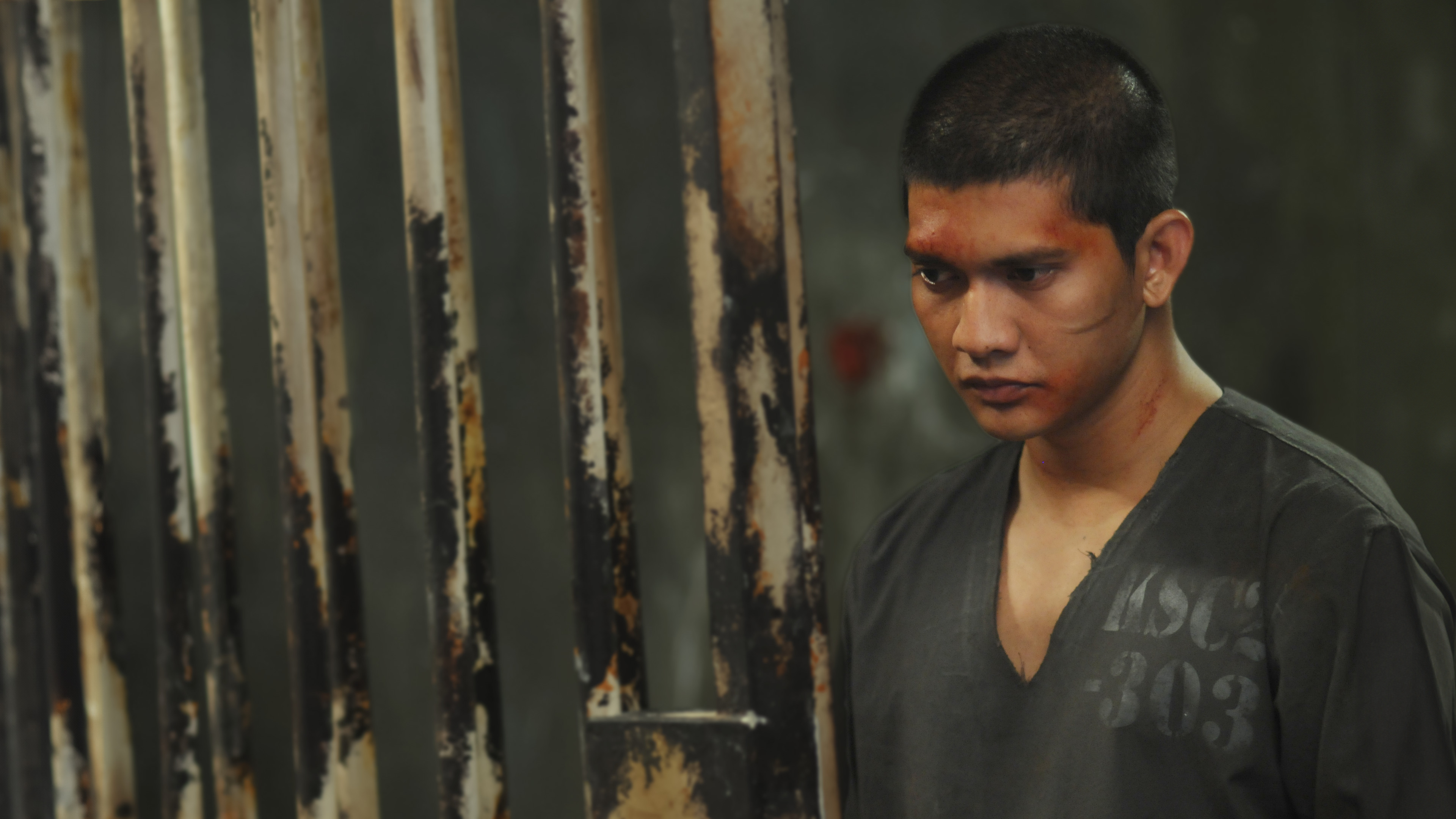 The Raid 2: Berandal