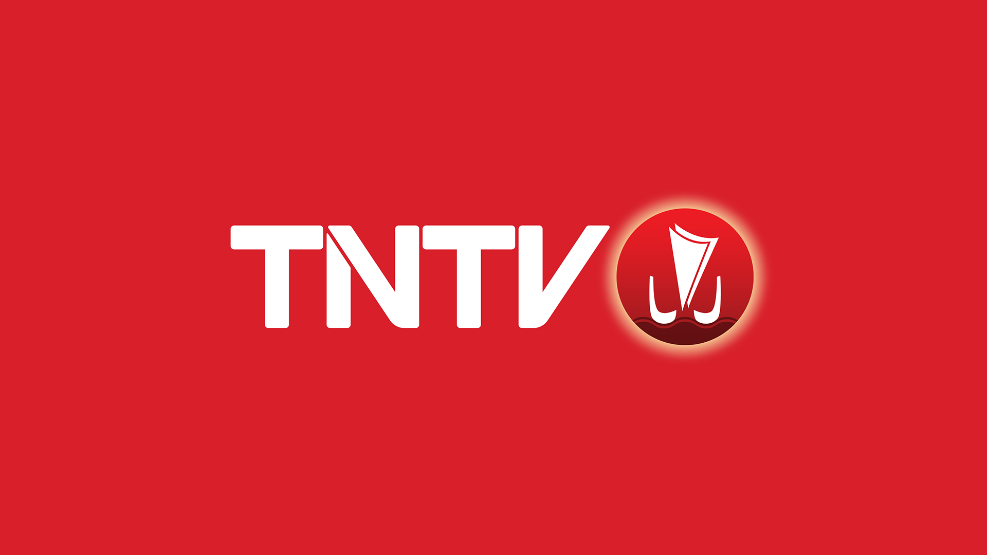 tntv reportages
