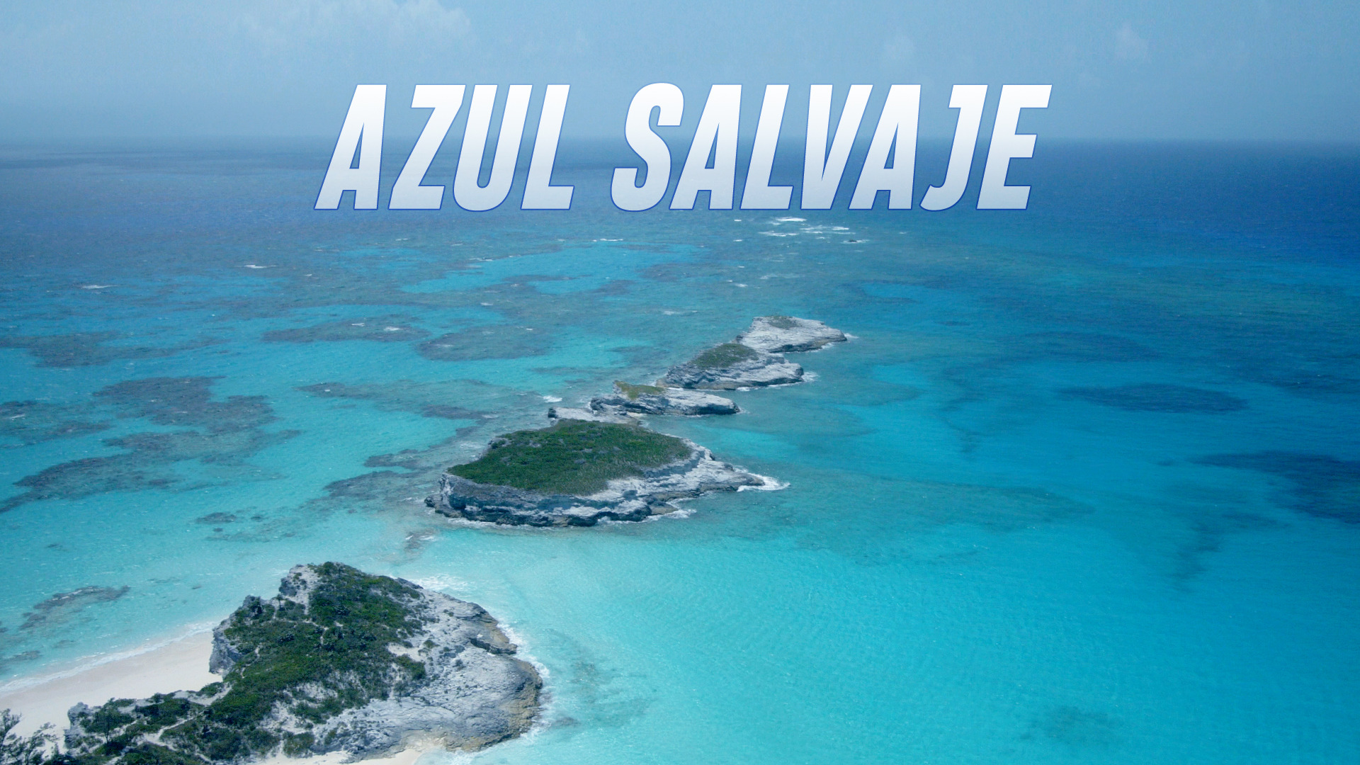 Azul Salvaje