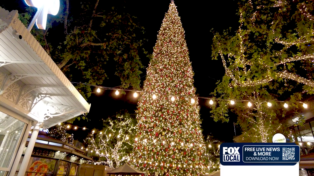 Holiday Lights and Cheer