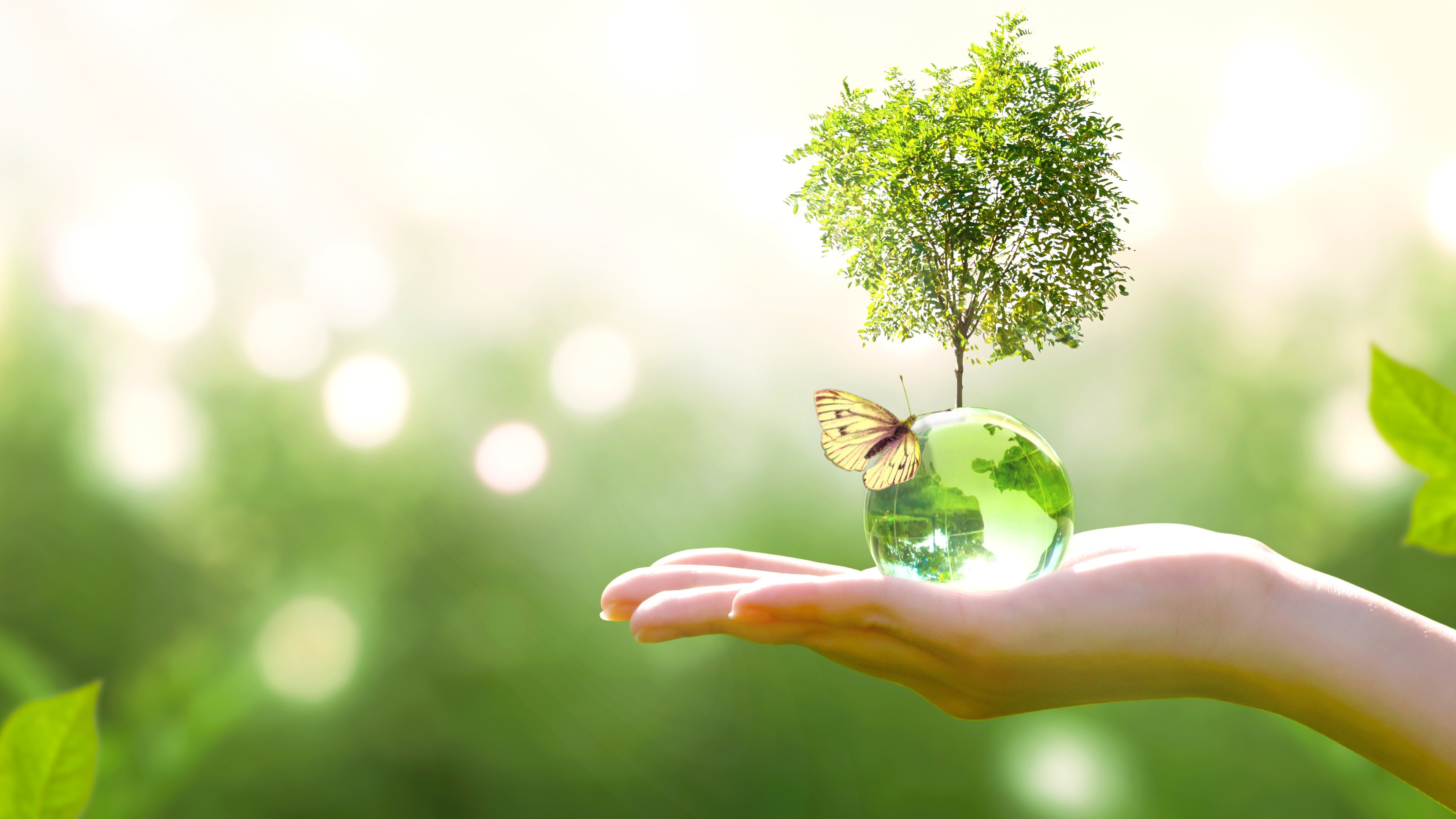 The Grand Heritage: Gyeongju