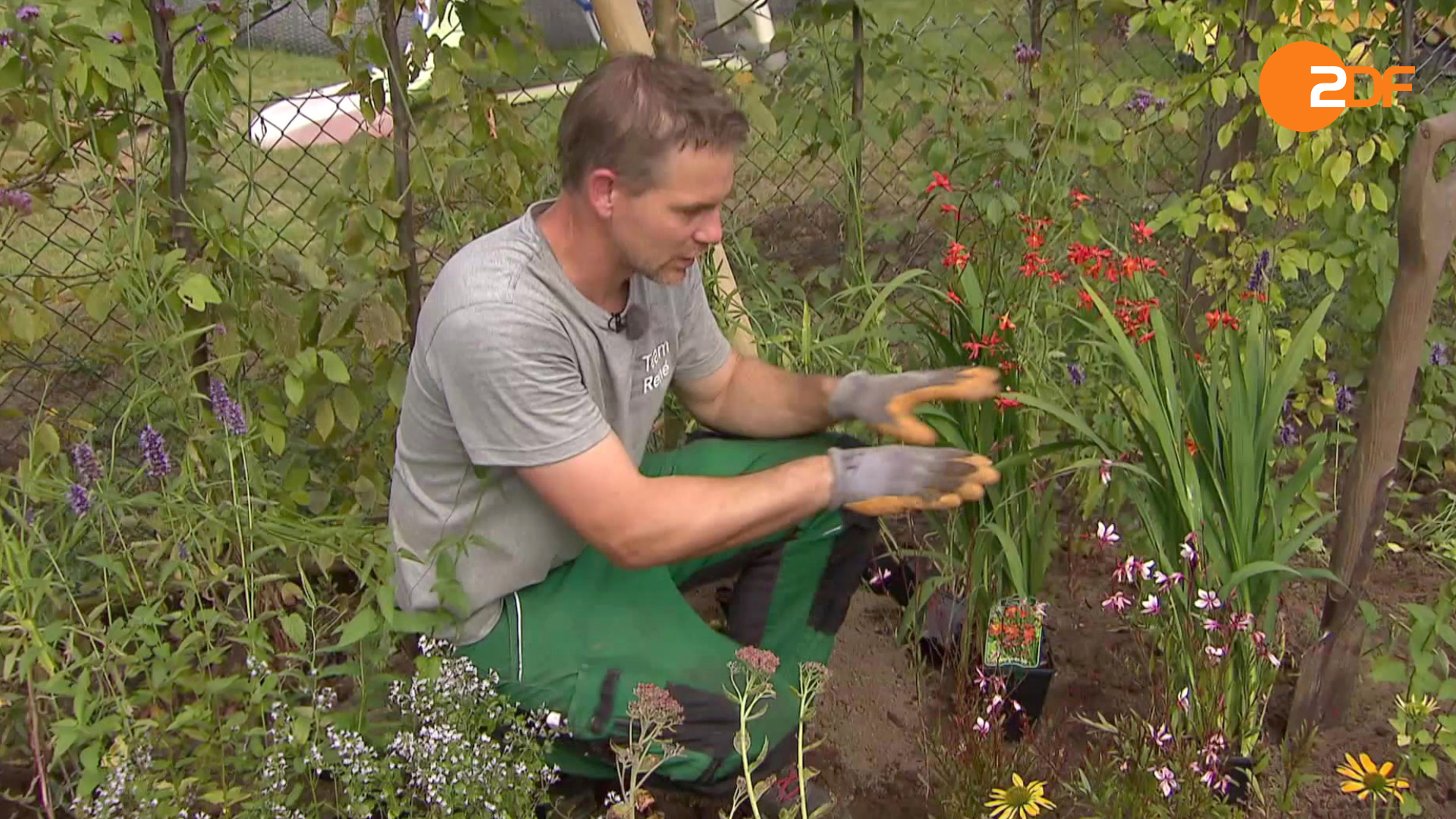 Duell der Gartenprofis, Staffel 5