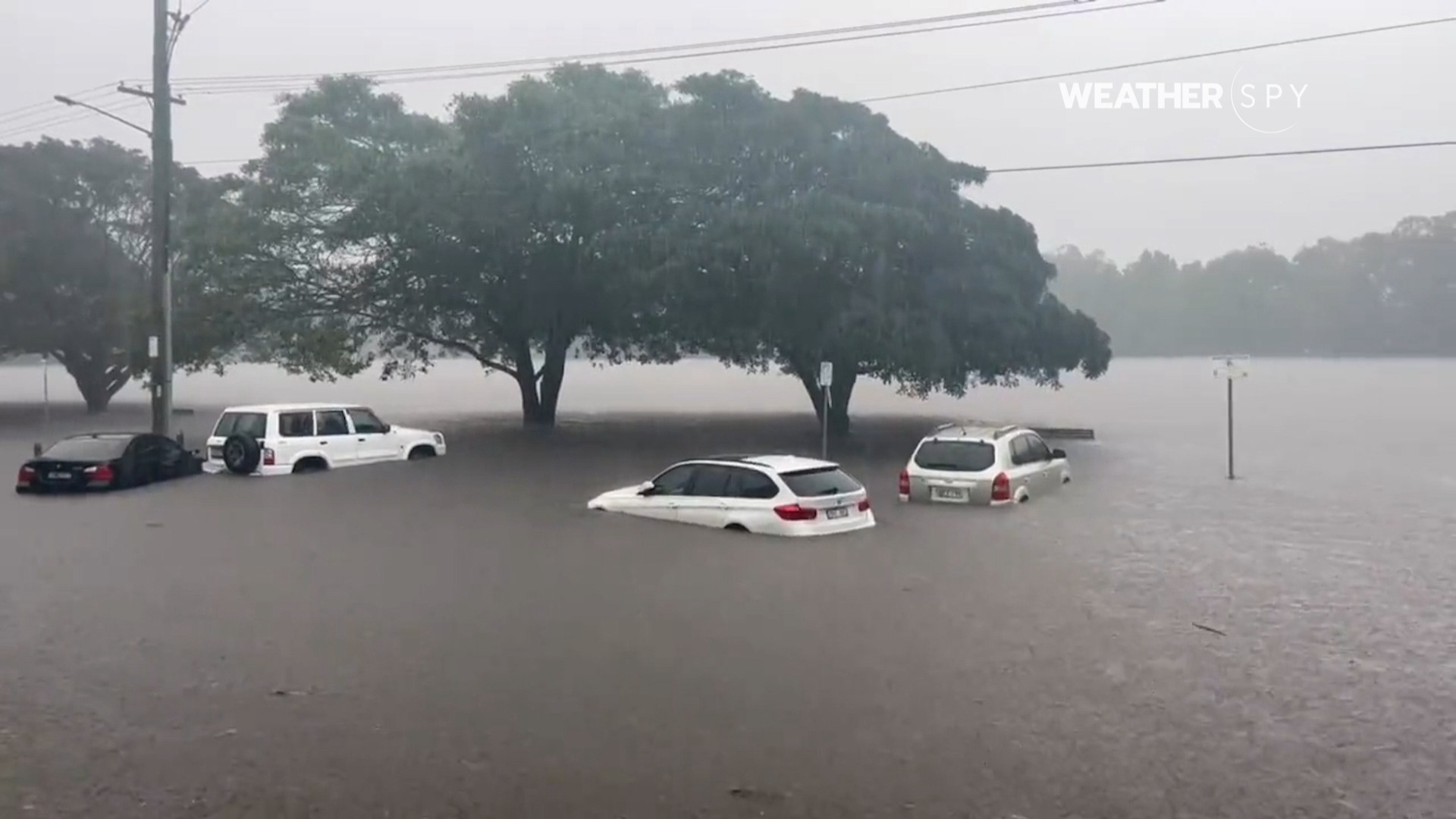 Humans VS Weather | Raining, Cats and Dogs