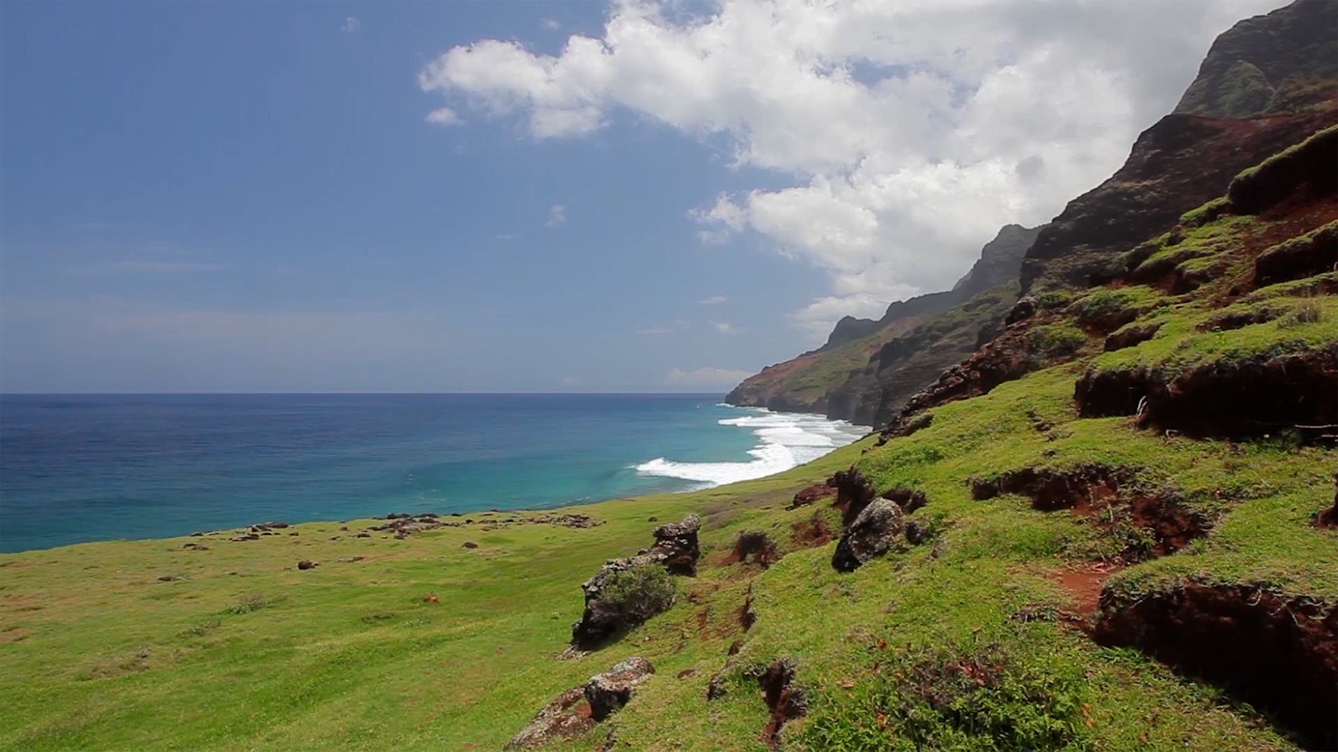 Nature's Beauty: World of Relaxation