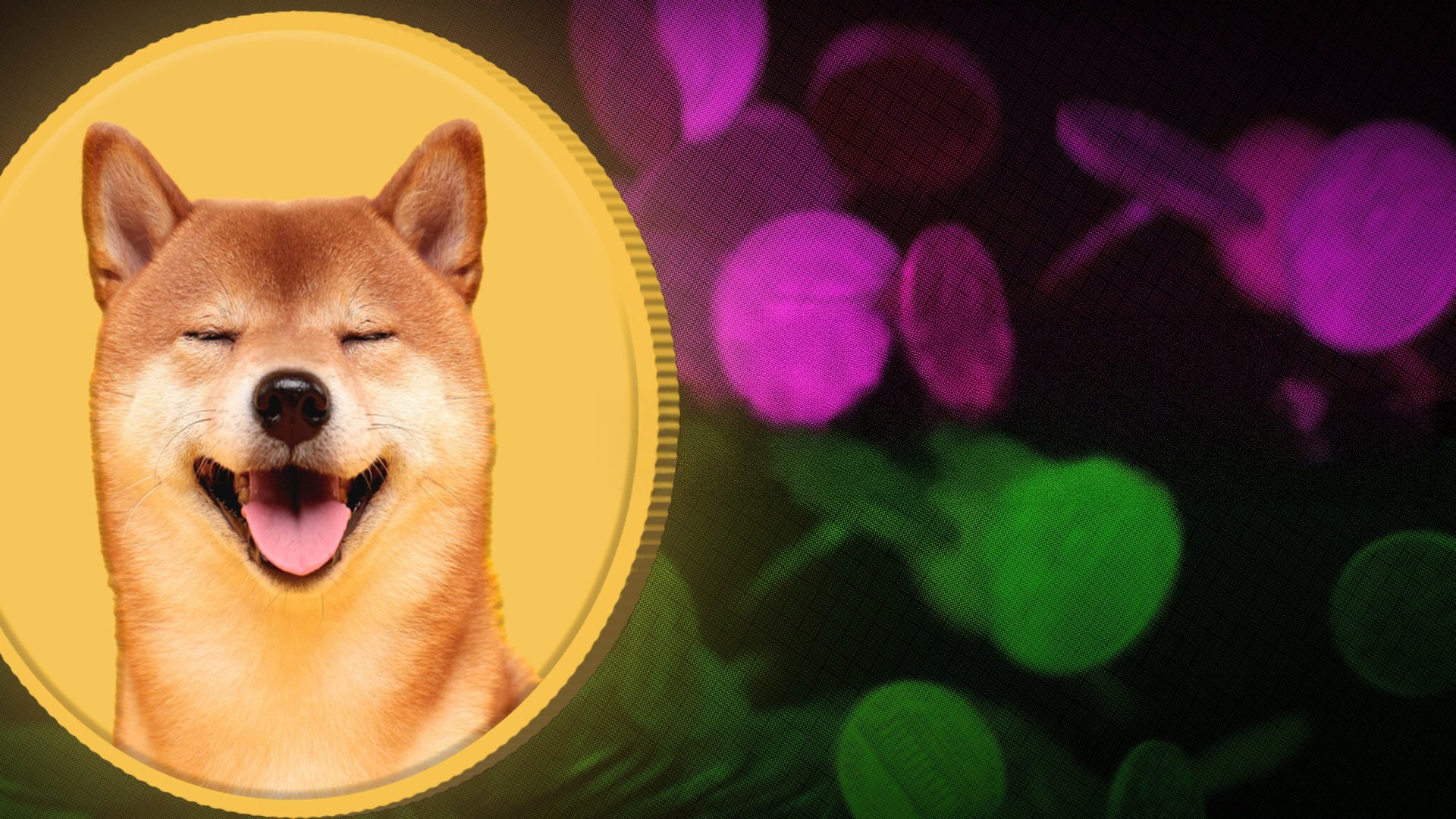 This Is Not Financial Advice