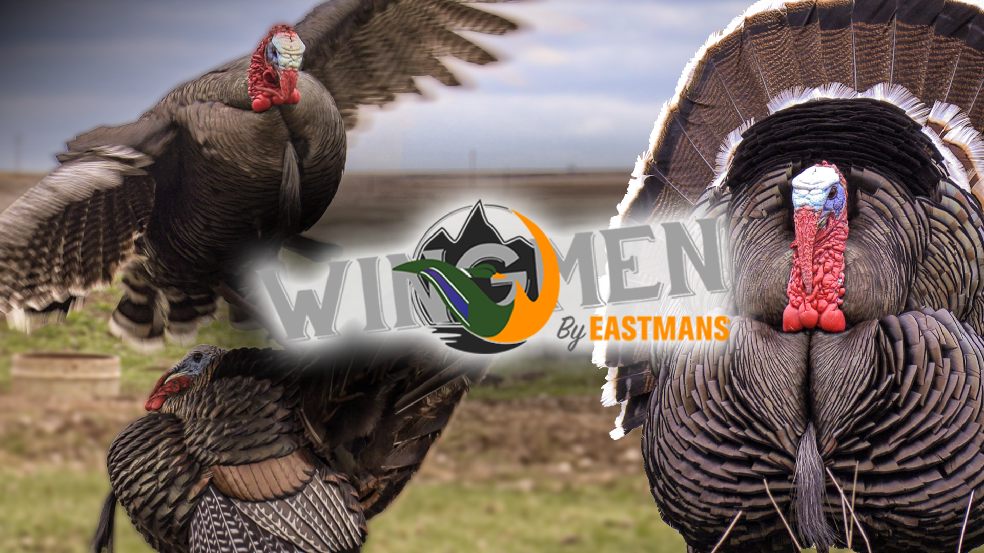 Wingmen by Eastmans'