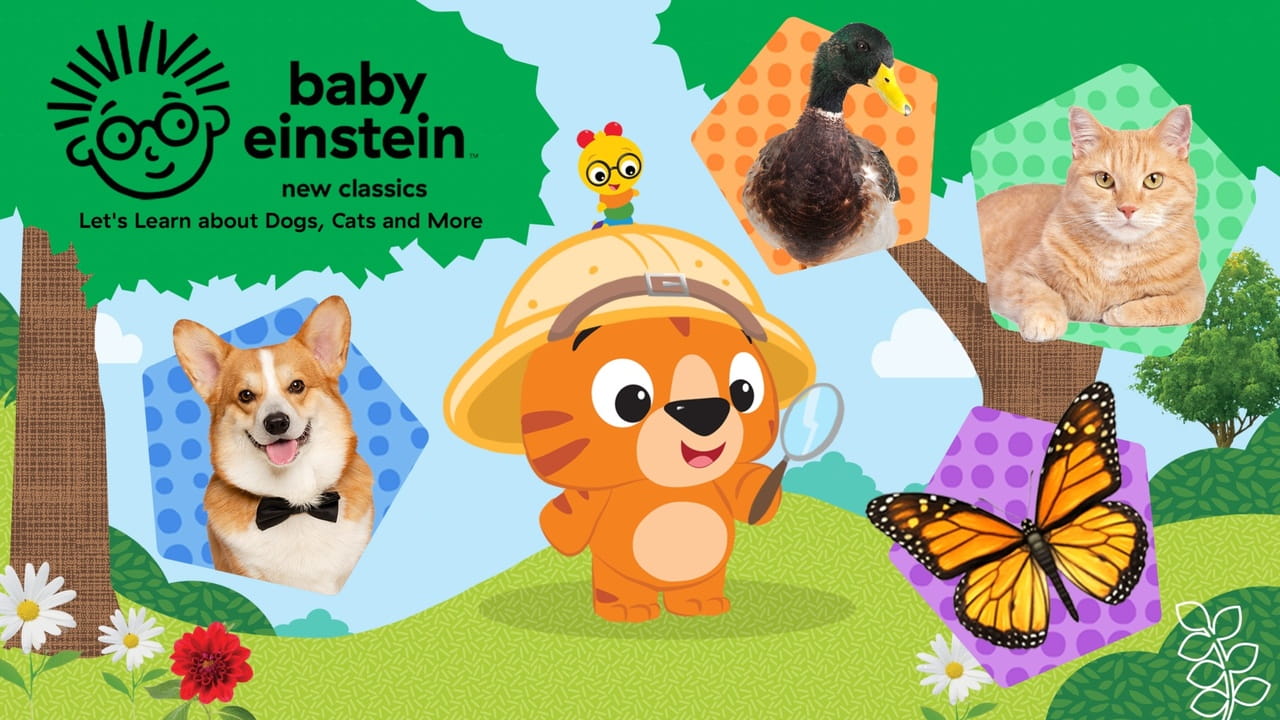 Baby Einstein