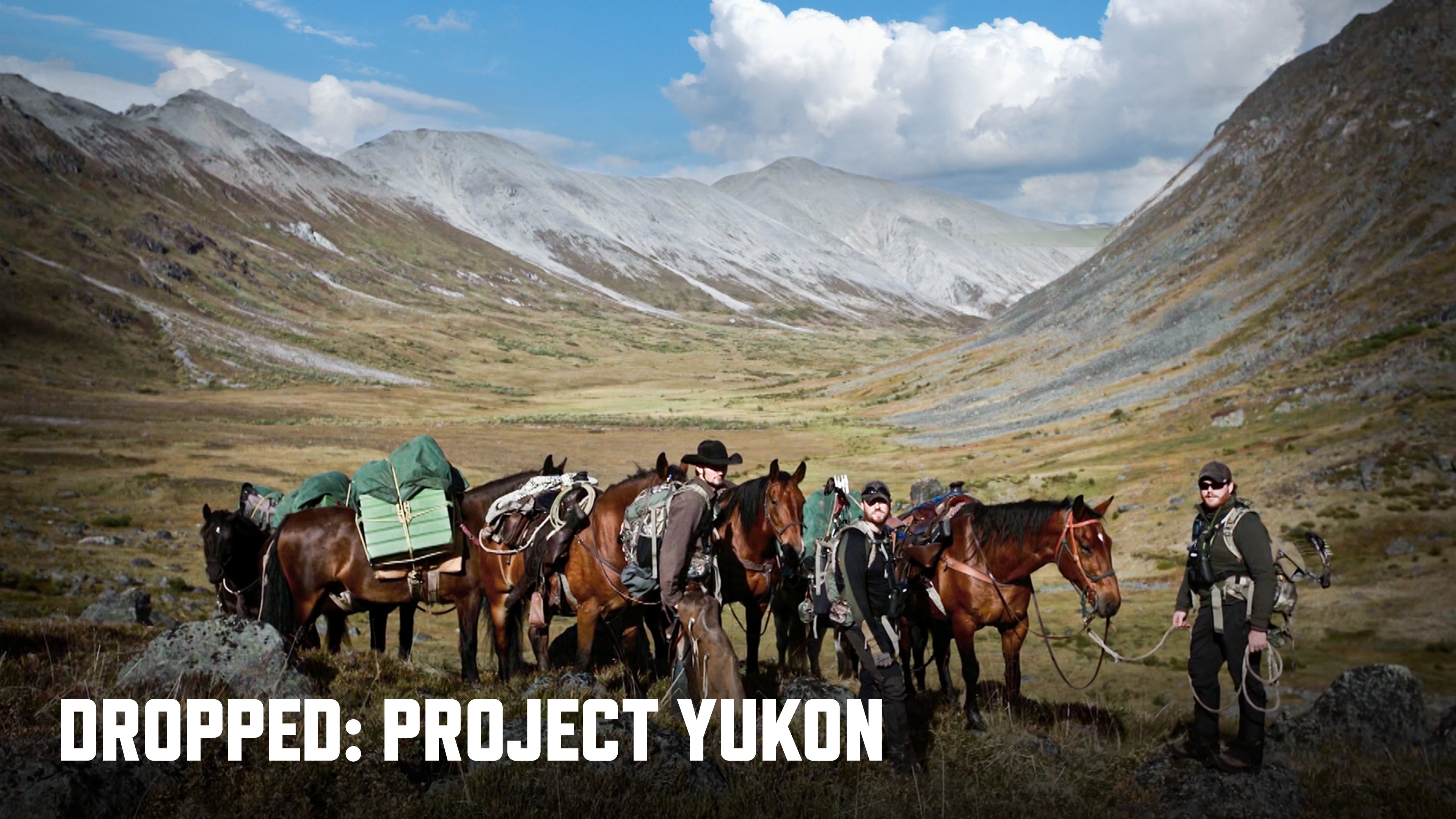 Dropped: Project Alaska