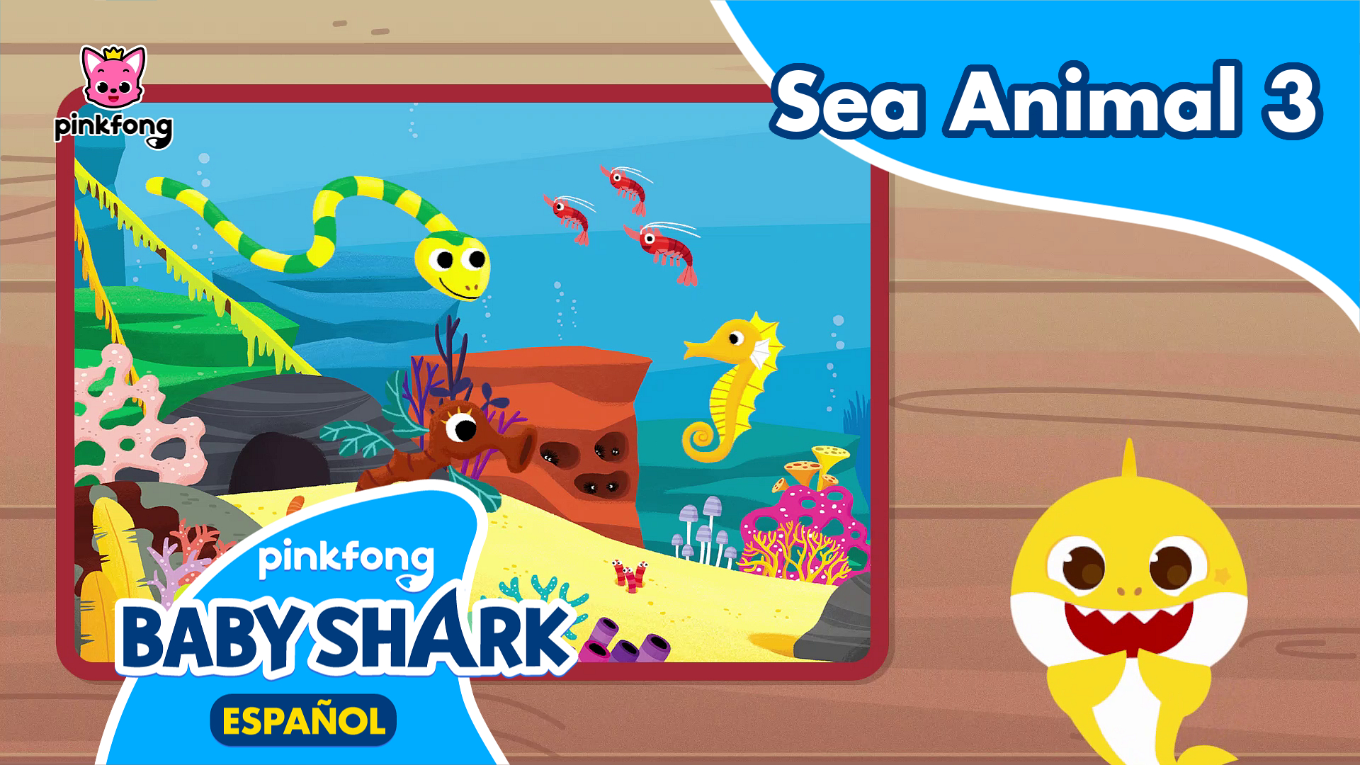 Al Escondite con Tiburón Bebé Sea Animal 3