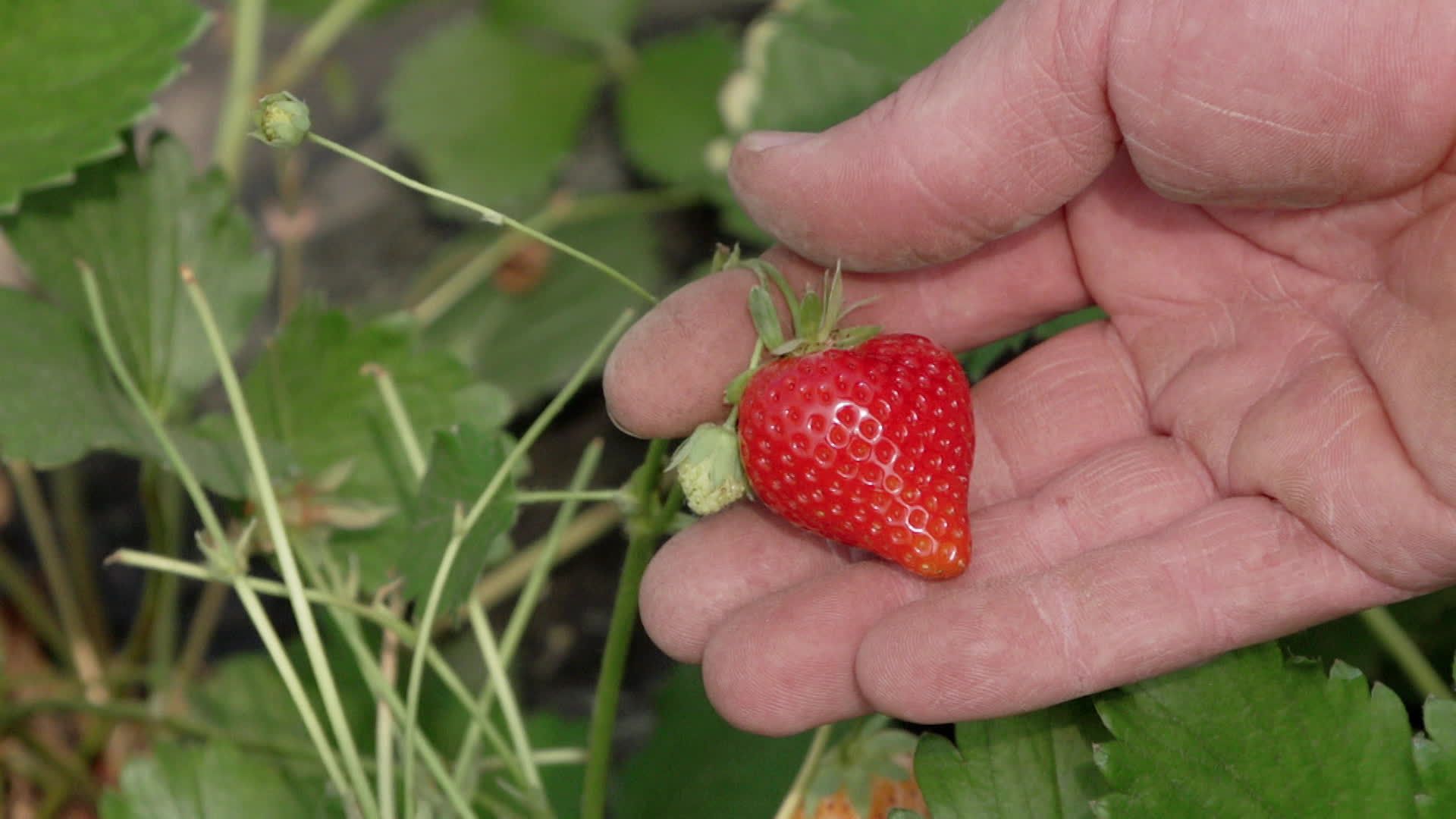 Itinéraires Paysans