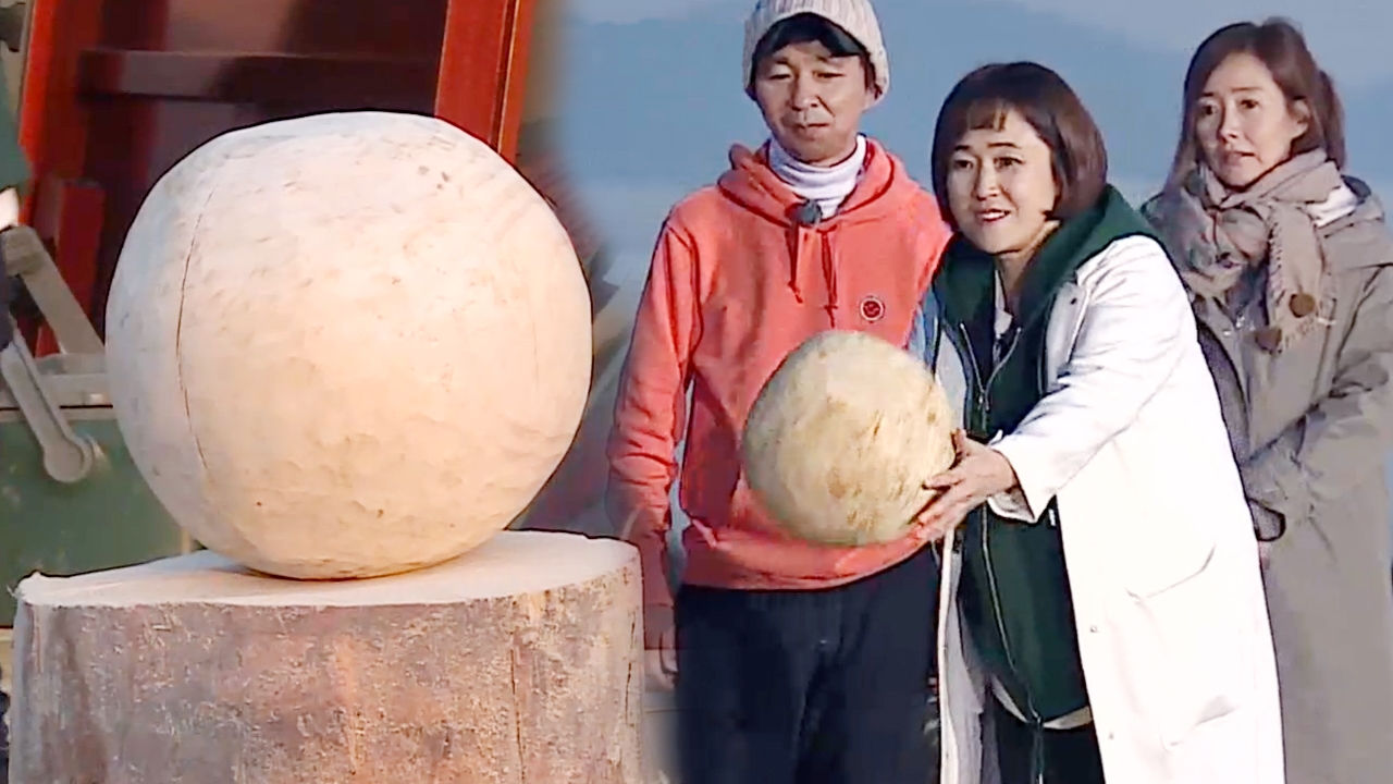 불타는 청춘 149회