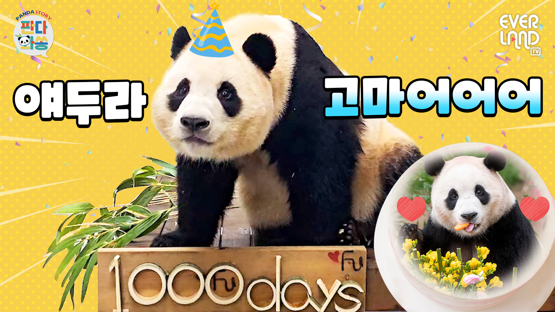 아기판다 푸바오 1000일 기념파티 비하인드❤ 96회
