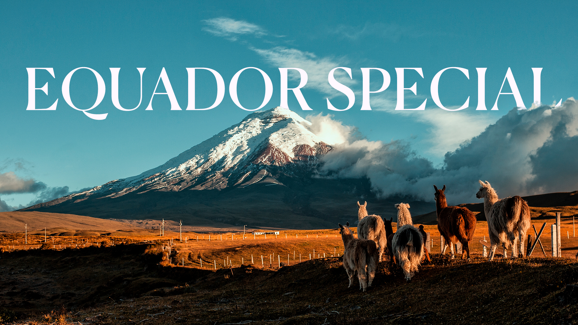 Equator Specials
