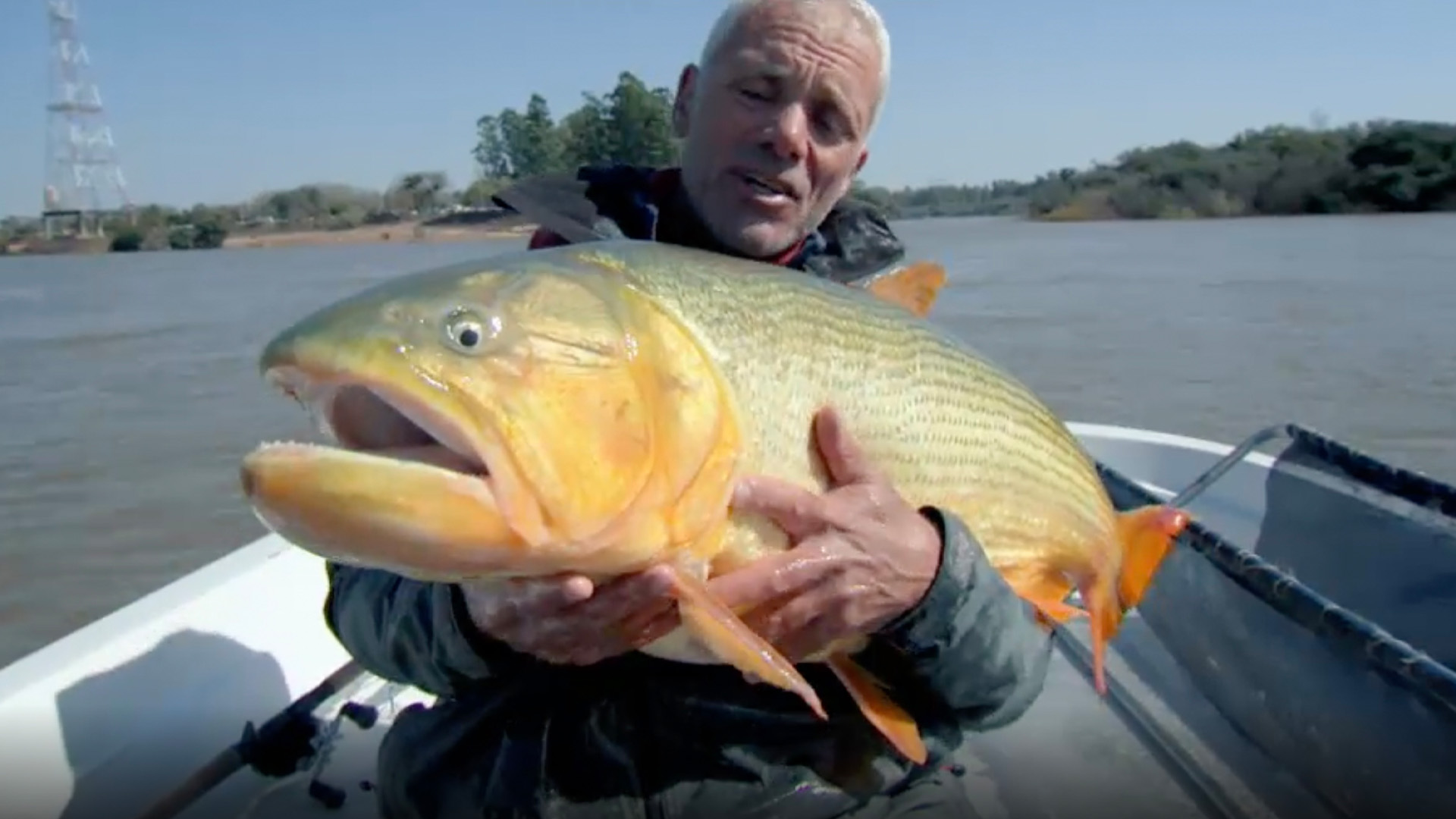 Der tödliche Dourado