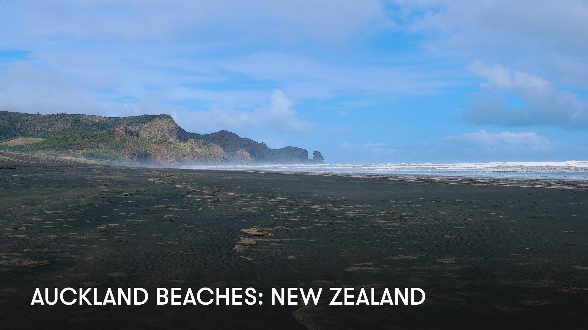 Auckland Beaches: New Zealand