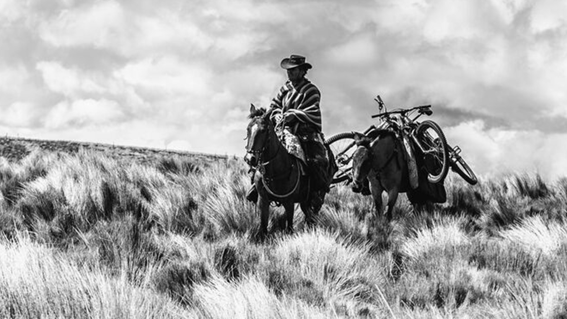 Rob Warner's Wild Rides