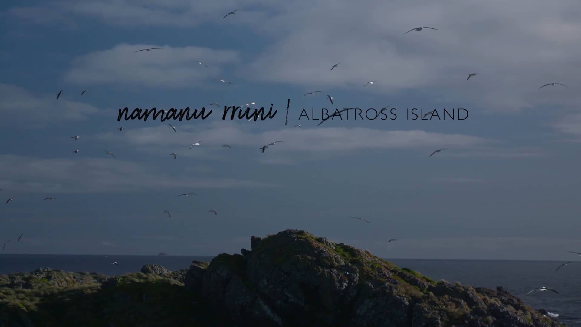 namanu rruni - Albatross Island