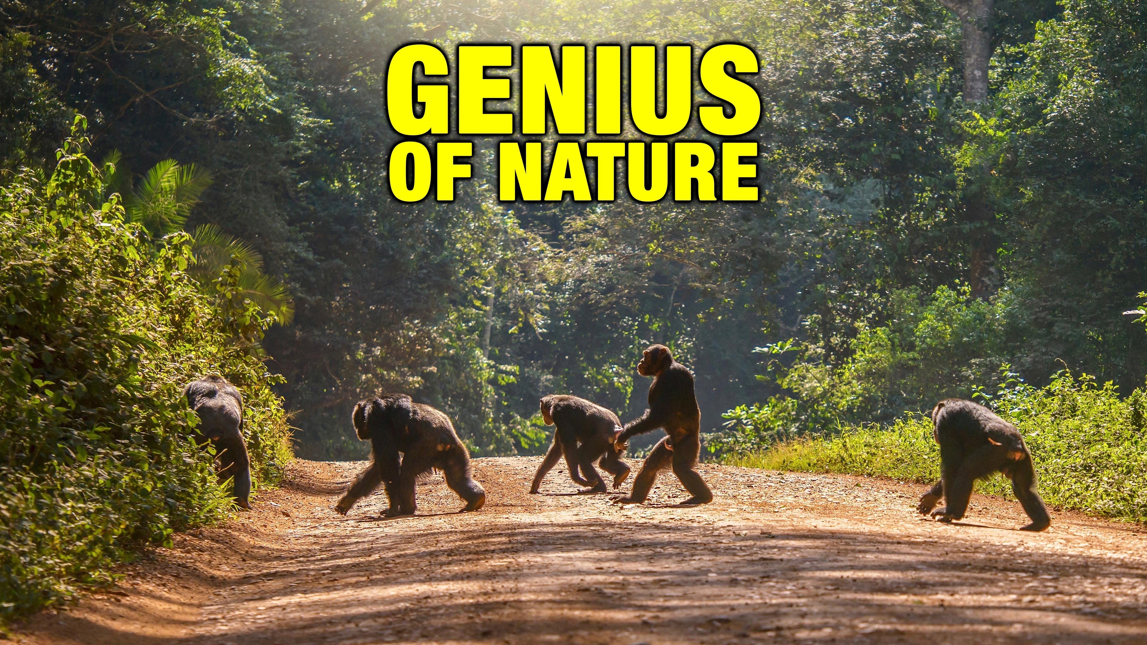 Genius of Nature