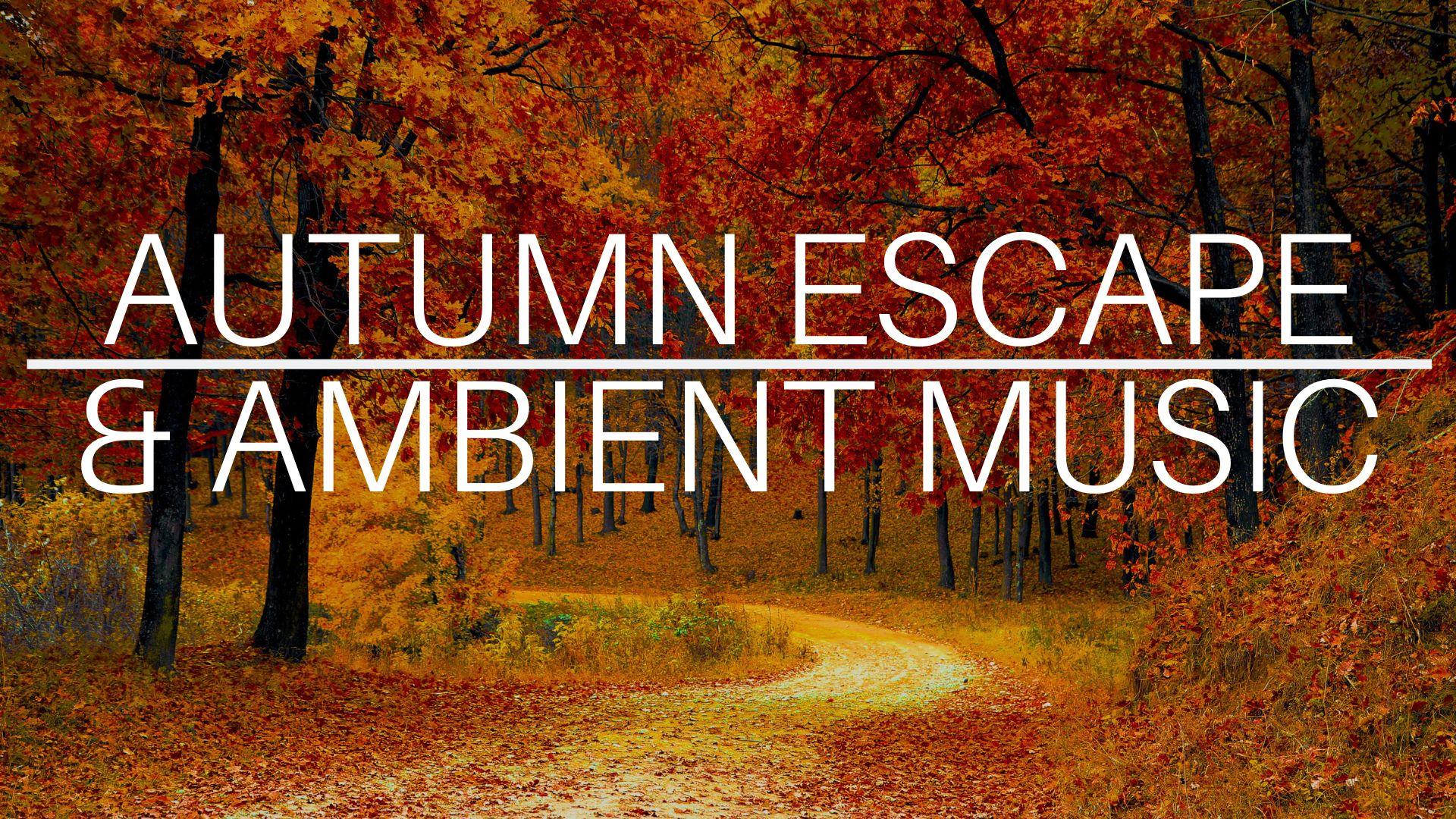 Autumn Escape With Ambient Music