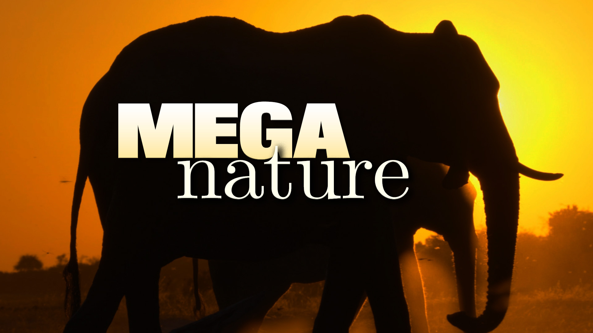 Mega Nature