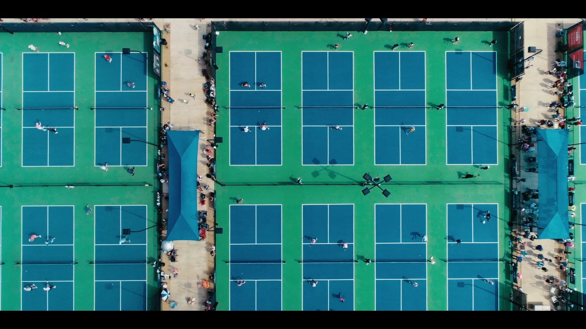 The Power of Pickleball