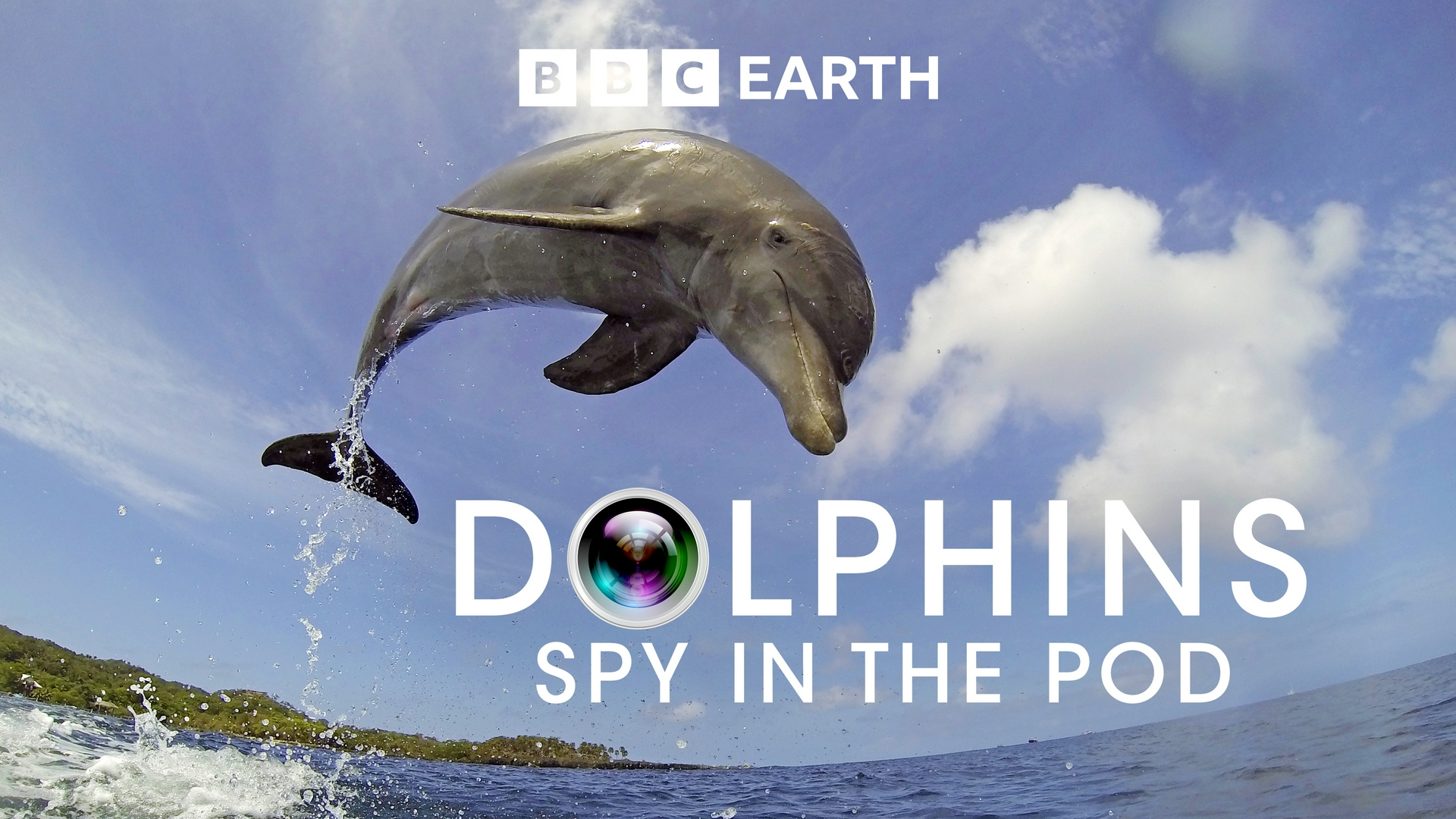 Delfines: espía en la manada Ec diario fu: Historias fu familia: Spy in u Pod