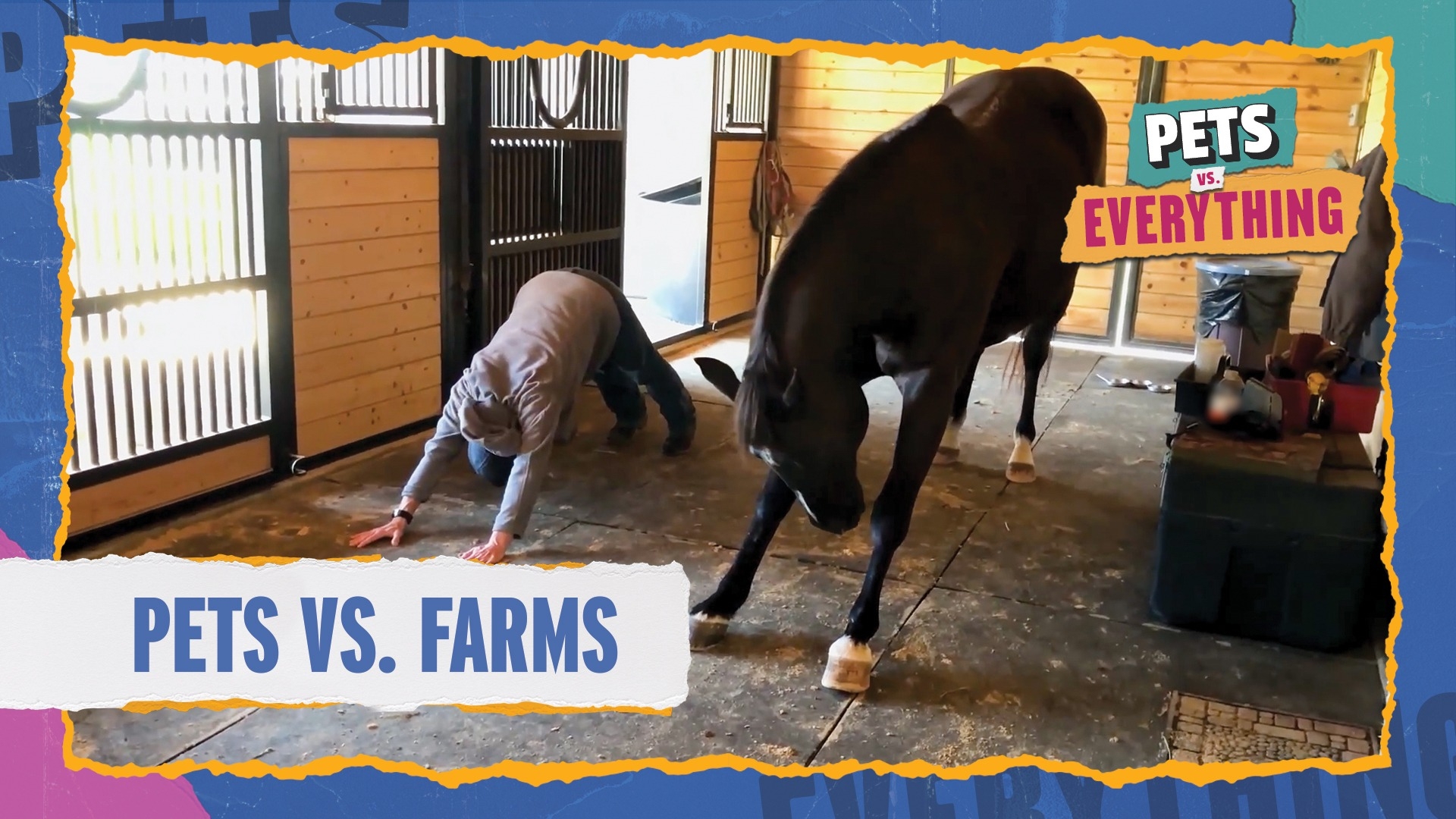 Pets VS. Everything | Pets VS. Farms