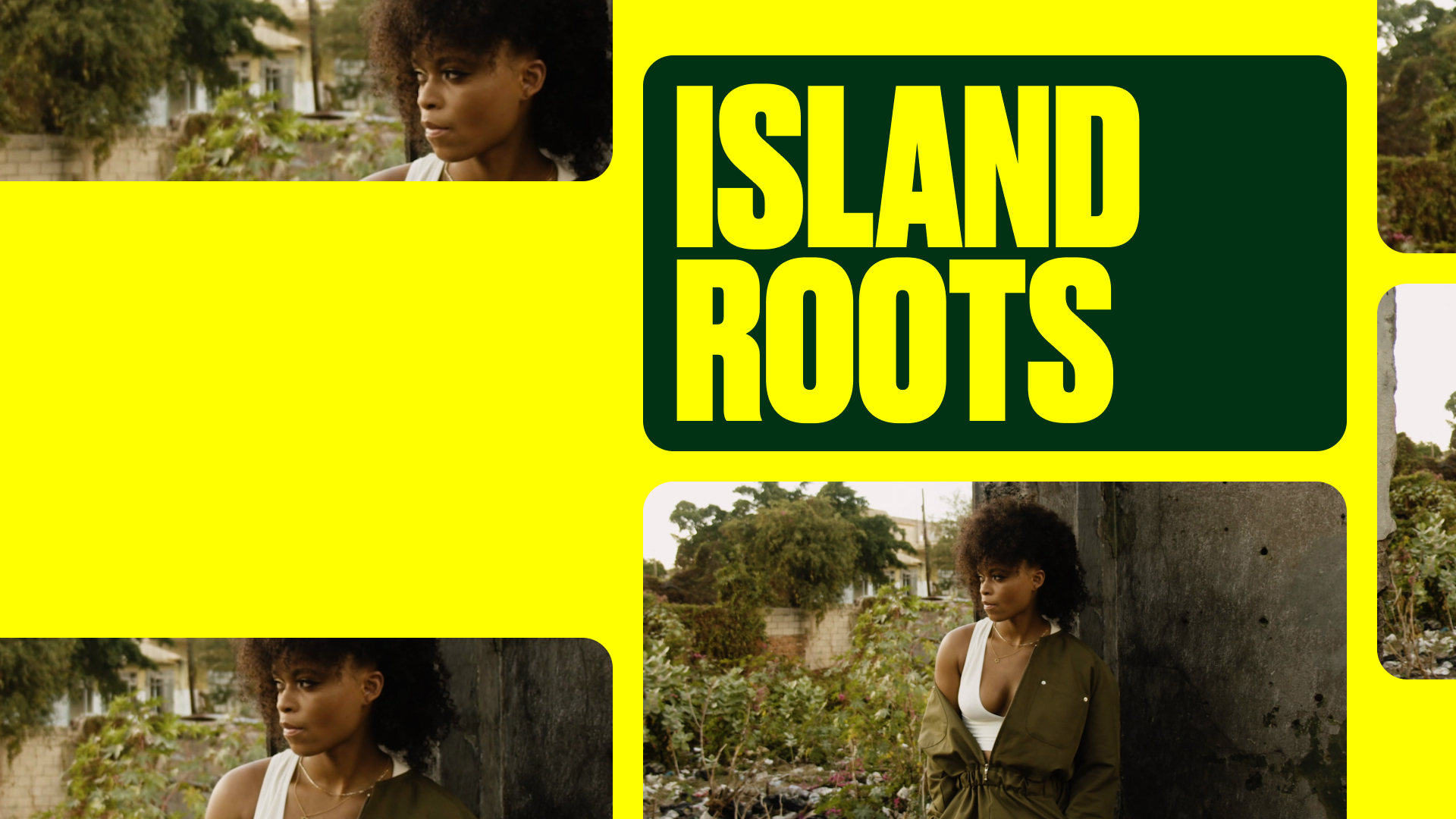 Island Roots