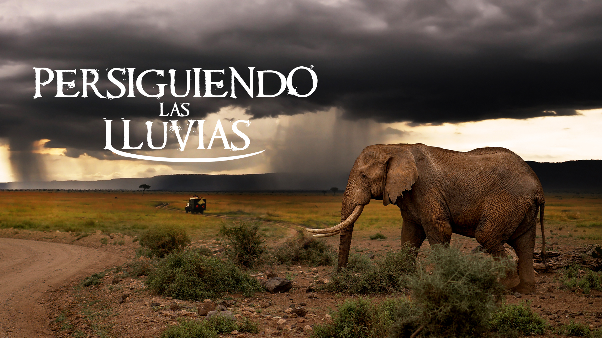 Persiguiendo las lluvias