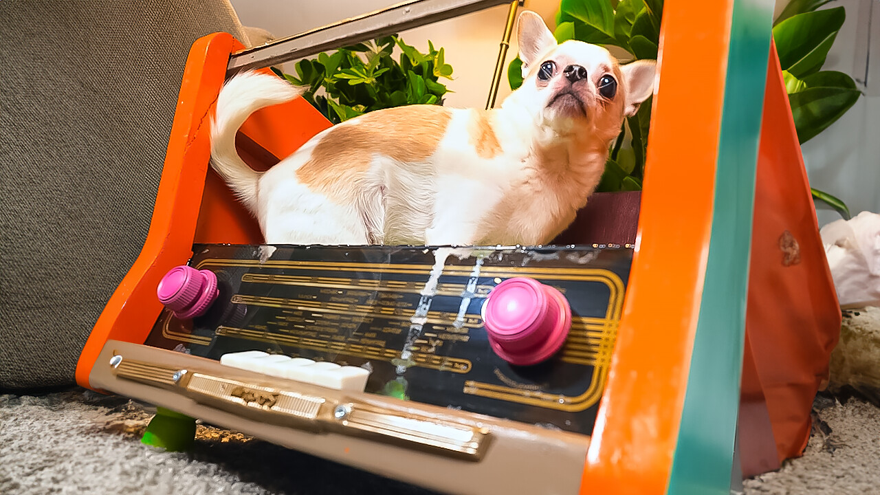 Manos y artesanía: Proyectos de bricolaje para entusiastas de los animales