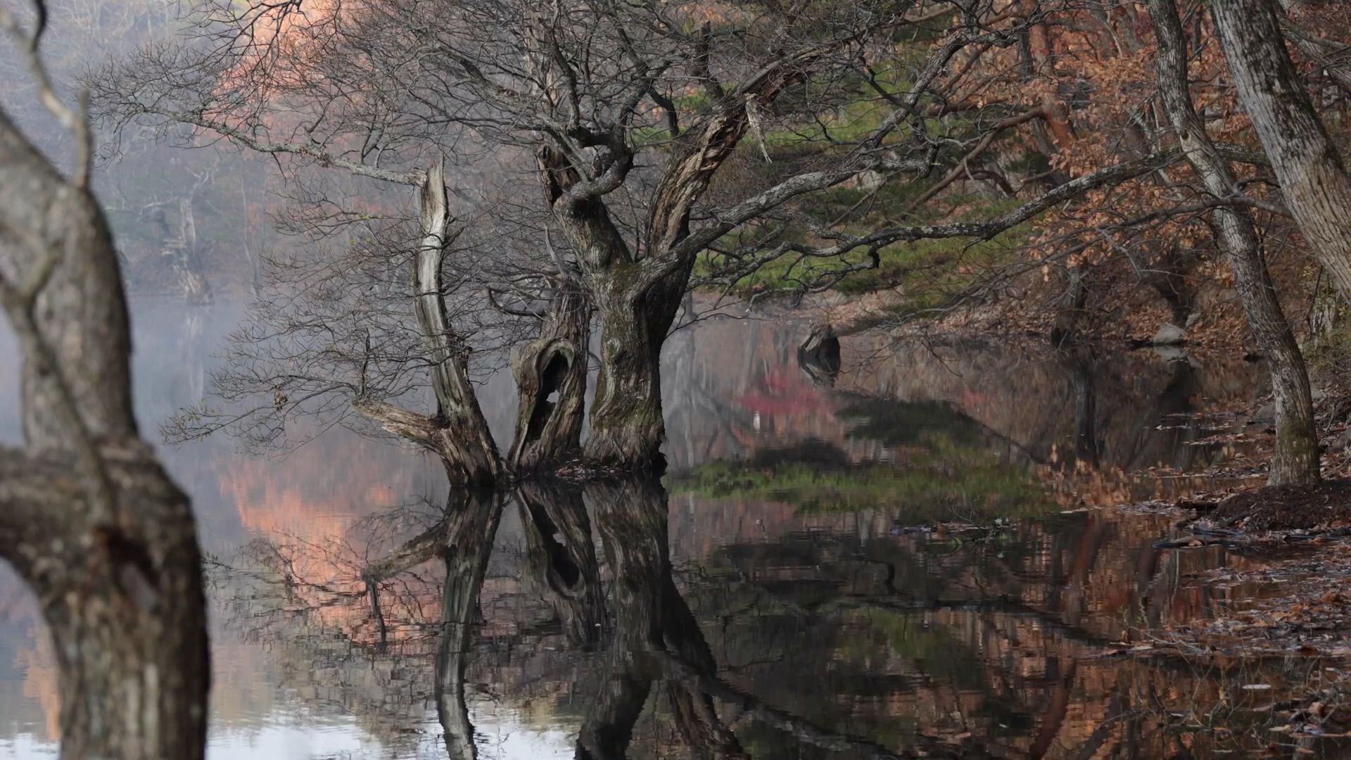[신비롭고 아름다운 비경] 청송 주산지 EP.2