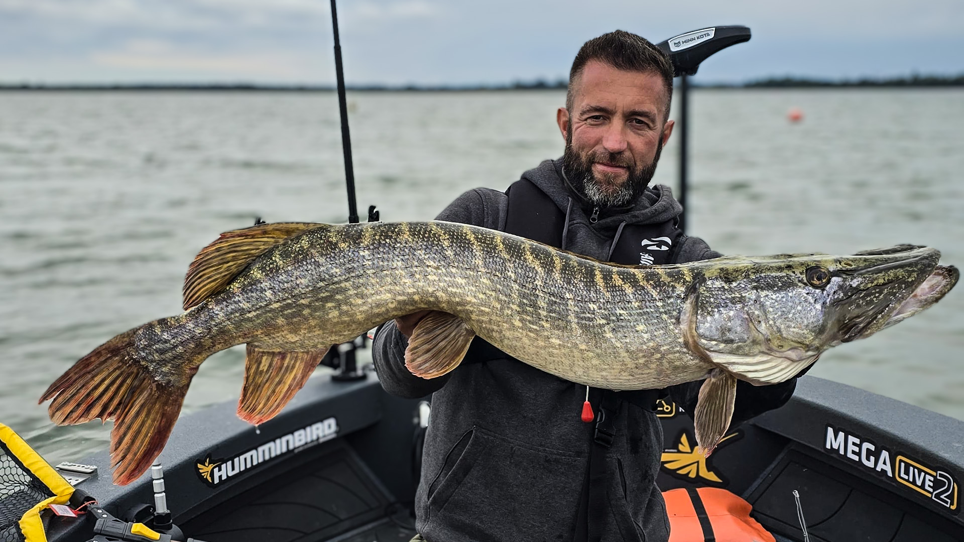 So fängst du immer pelagisch Hechte