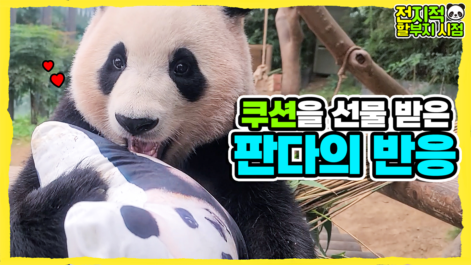 푸바오의 쌍둥이 동생 등장?! 자신과 똑같이 생긴 도플갱어 쿠션을 받은 푸바오