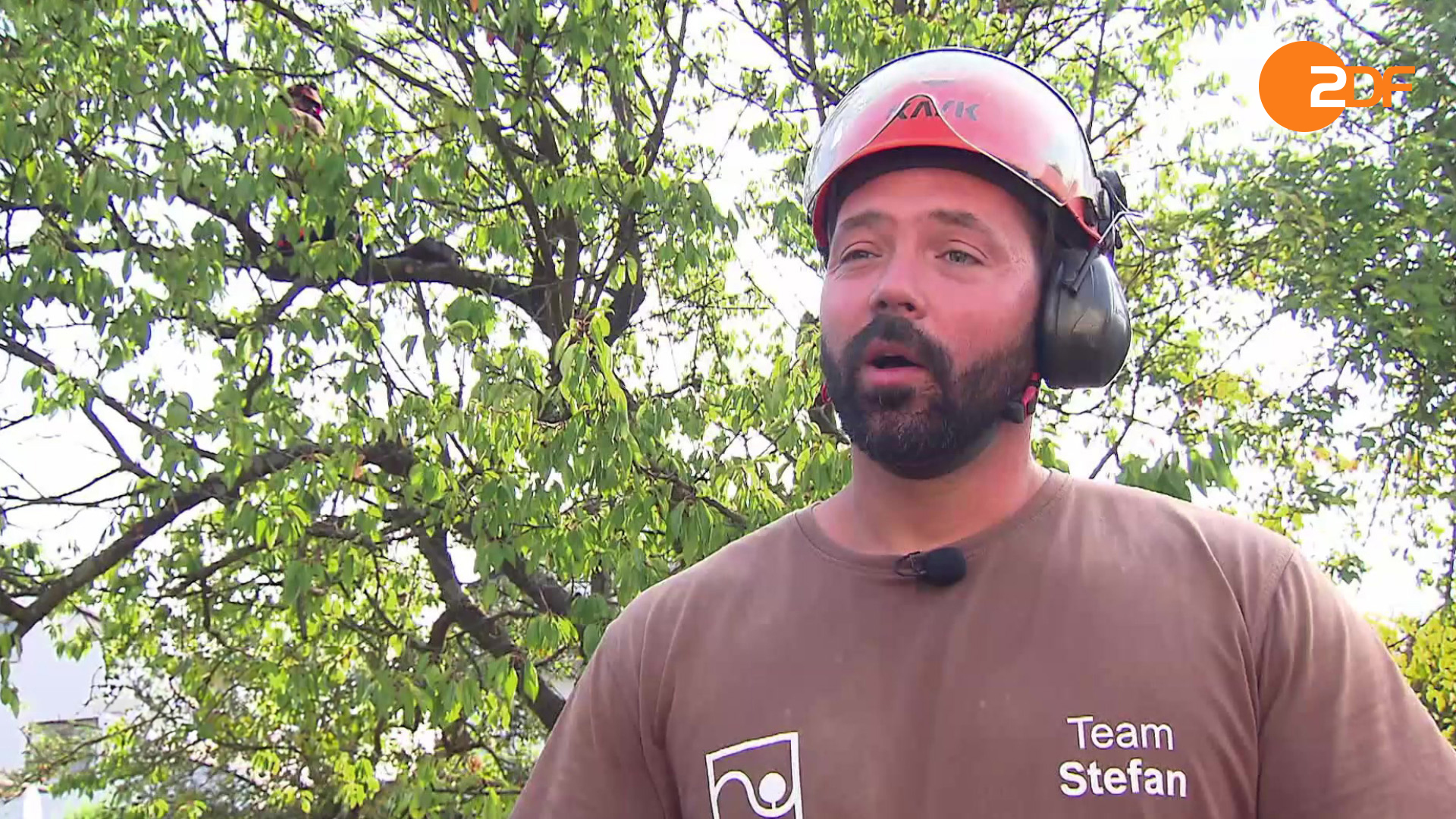 Duell der Gartenprofis, Staffel 3