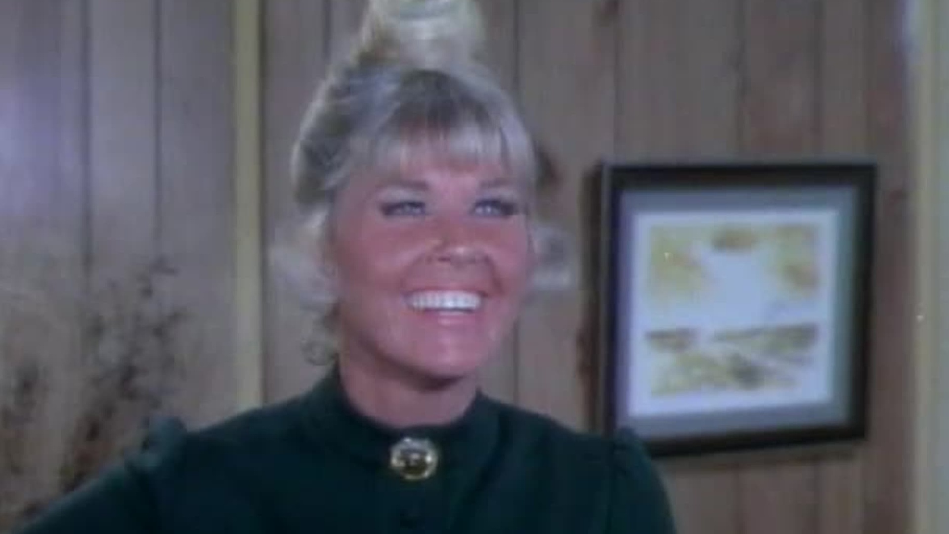 The Doris Day Show