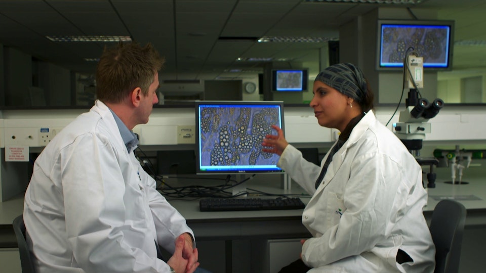 Die Wahrheit über Fett