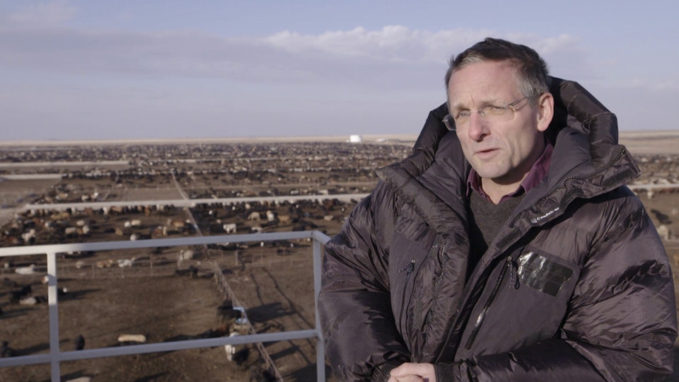 Die Wahrheit über Fleisch