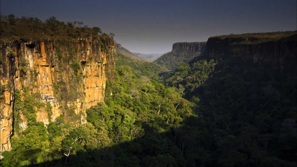 Wildest Latin America: Pantanal: Brazils Wild Heart