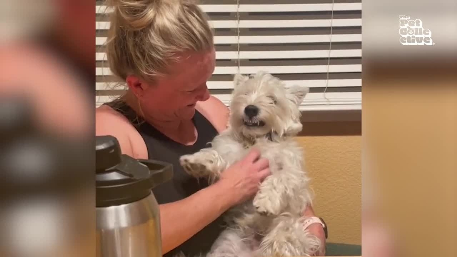 Funniest Pets of the Month | Ep. 1.1