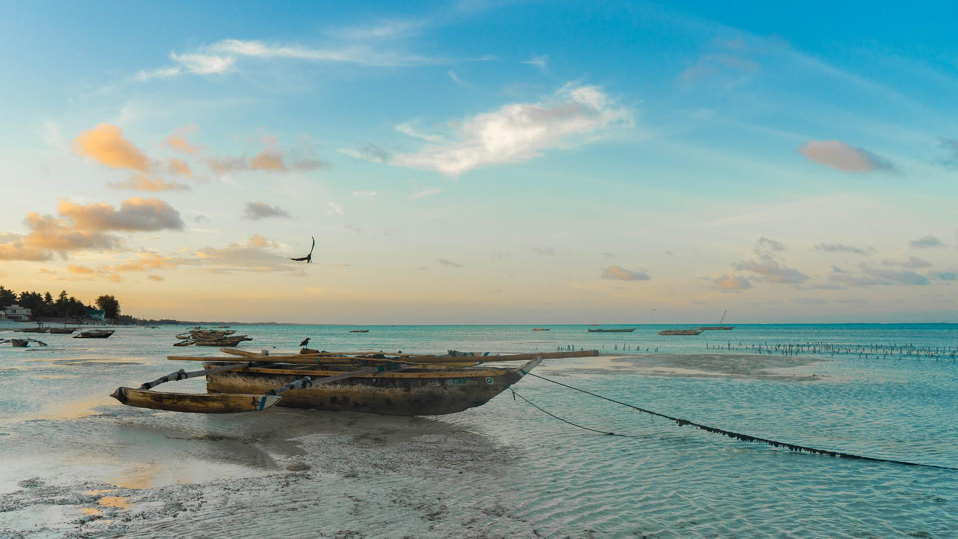Over the Islands of Africa