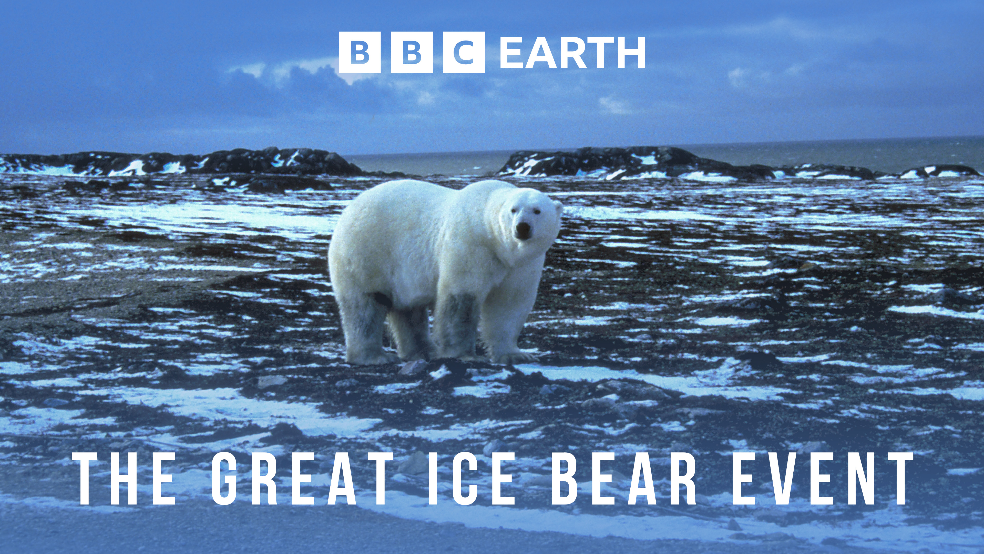 The Great Ice Bear Event