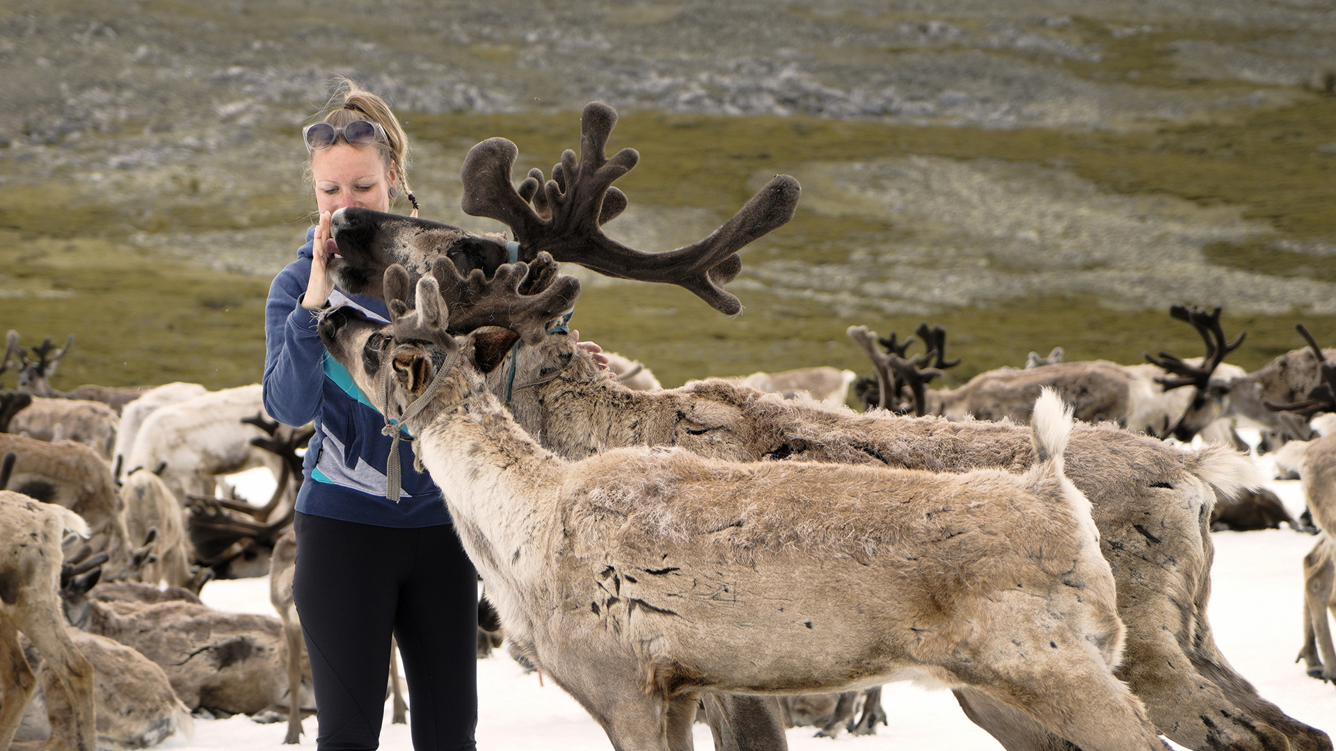 Durch die Mongolei zu den Rentier Nomaden