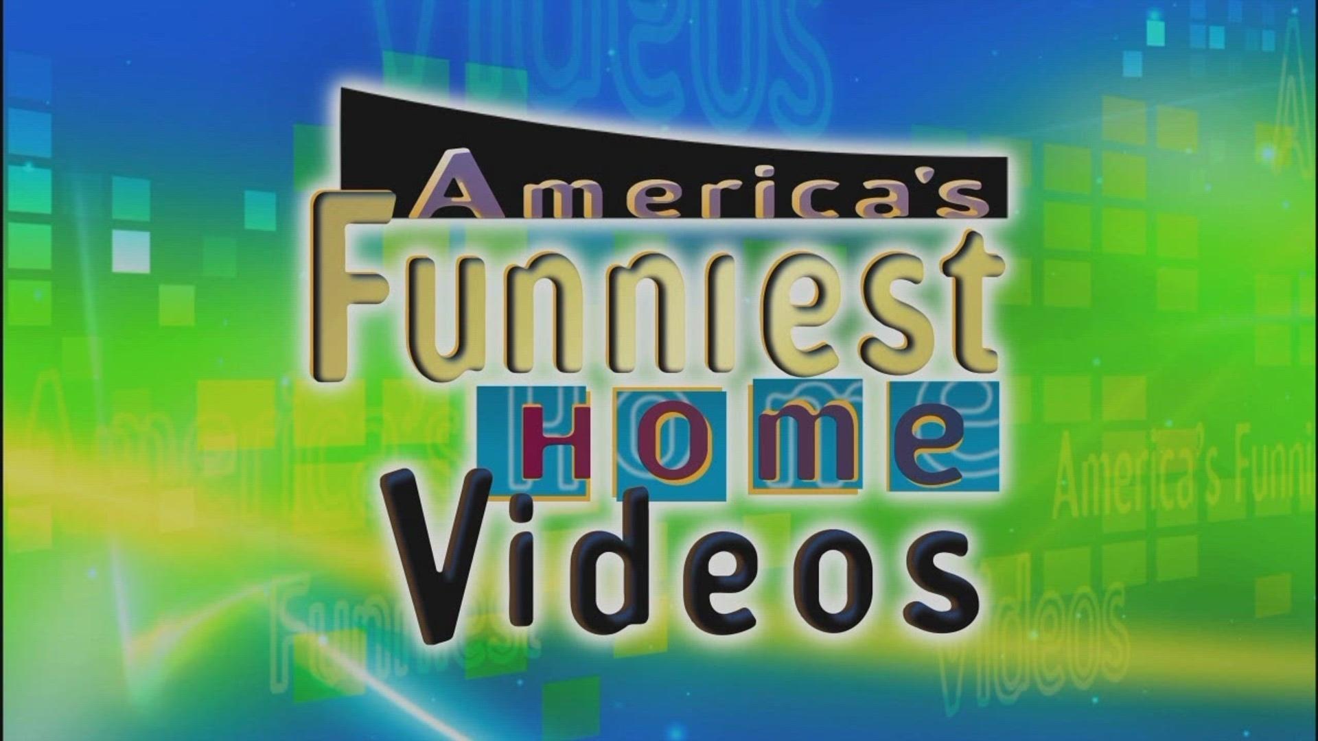 America's Funniest Home Videos