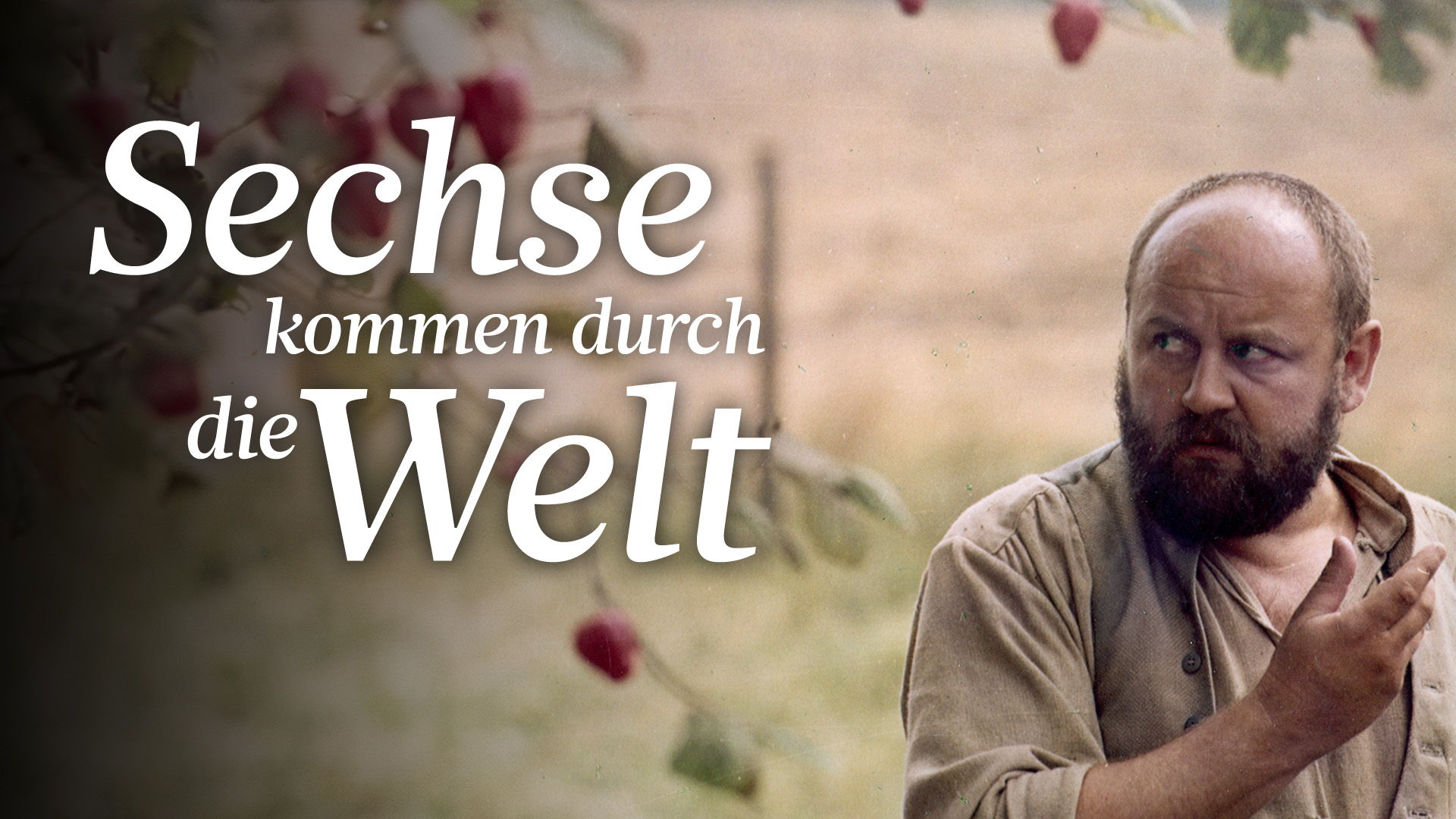 Sechse kommen durch die Welt